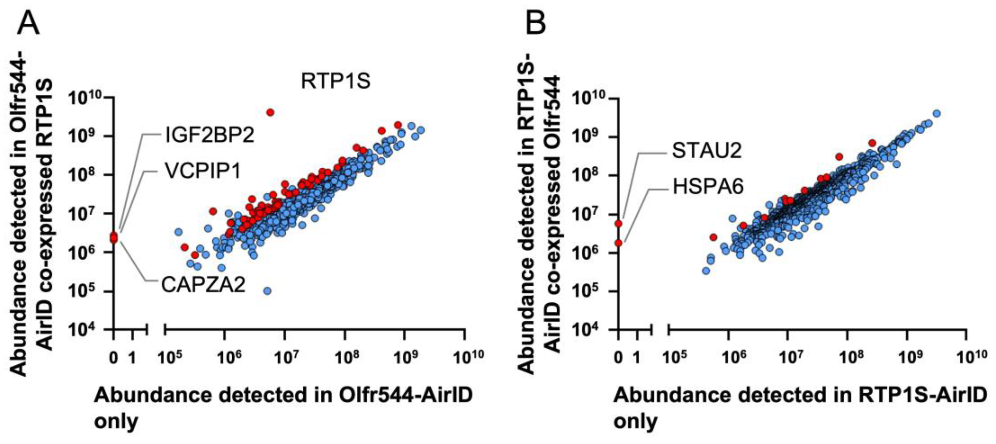 Ijms 24 07829 g002 Ijms 24 07829 g002