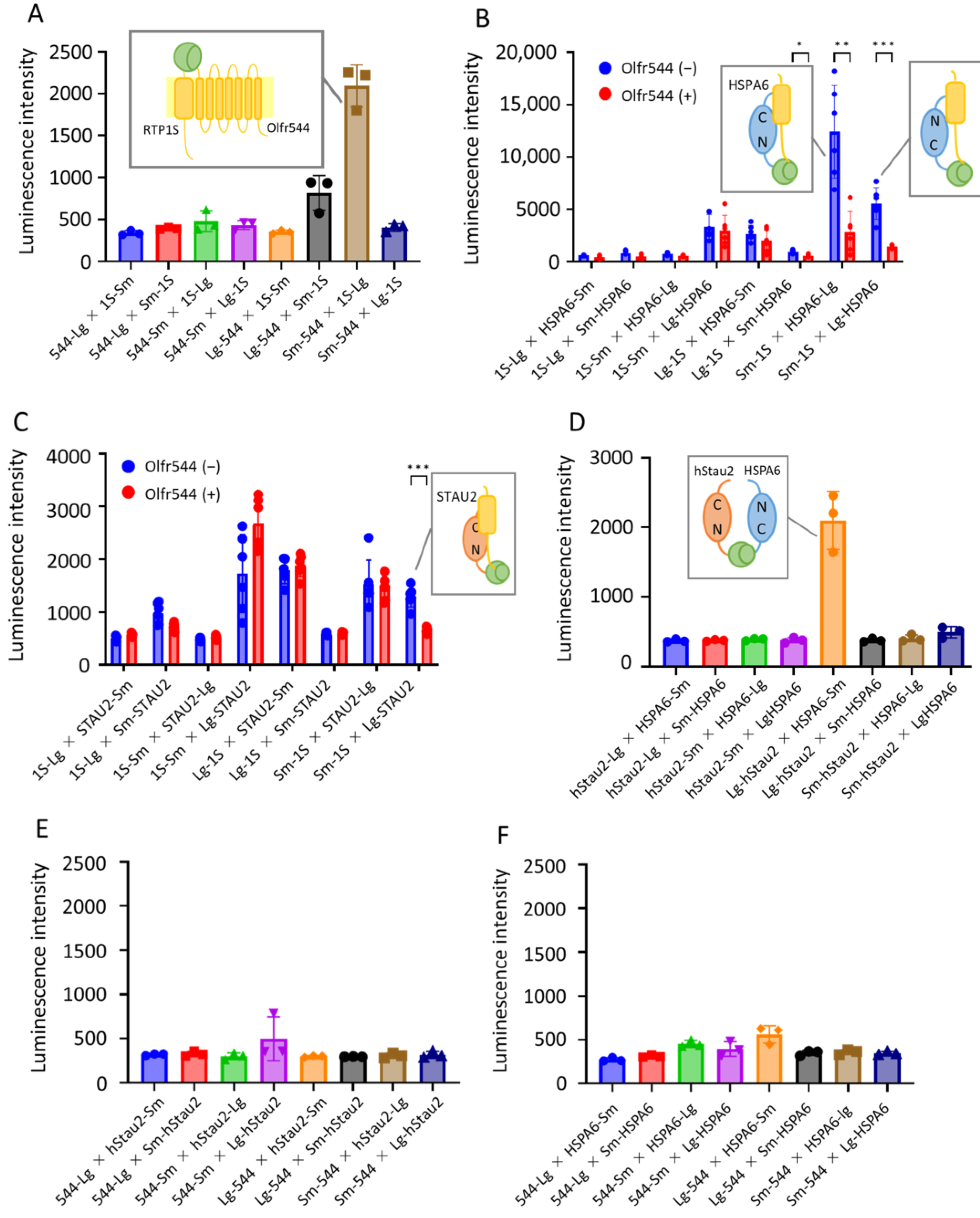 Ijms 24 07829 g006 Ijms 24 07829 g006