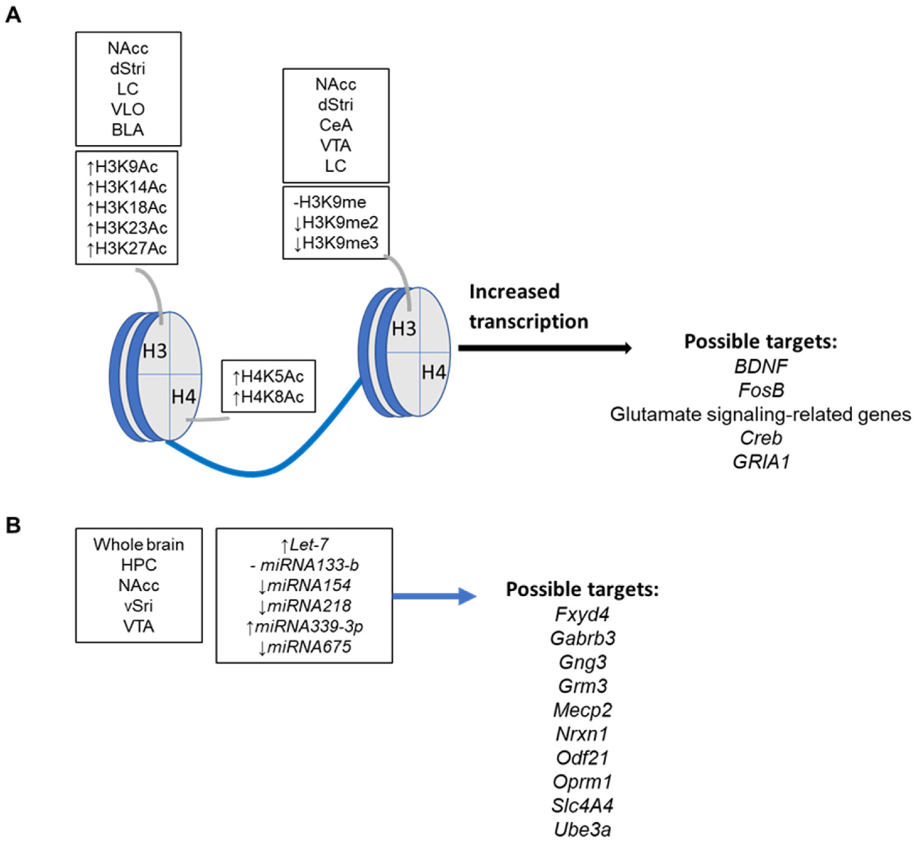 IJMS | Free Full-Text | Molecular and Epigenetic Aspects of Opioid