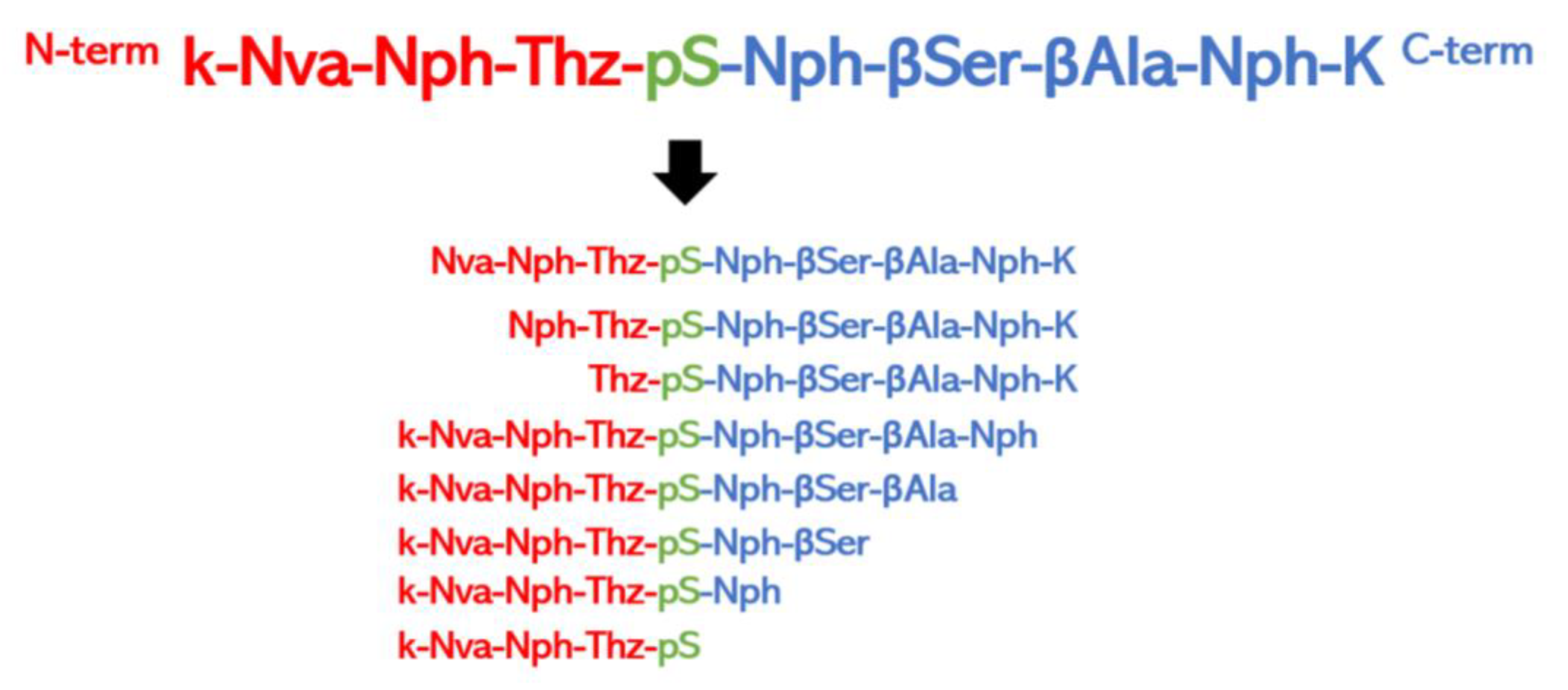 Ijms 24 07842 g004 Ijms 24 07842 g004