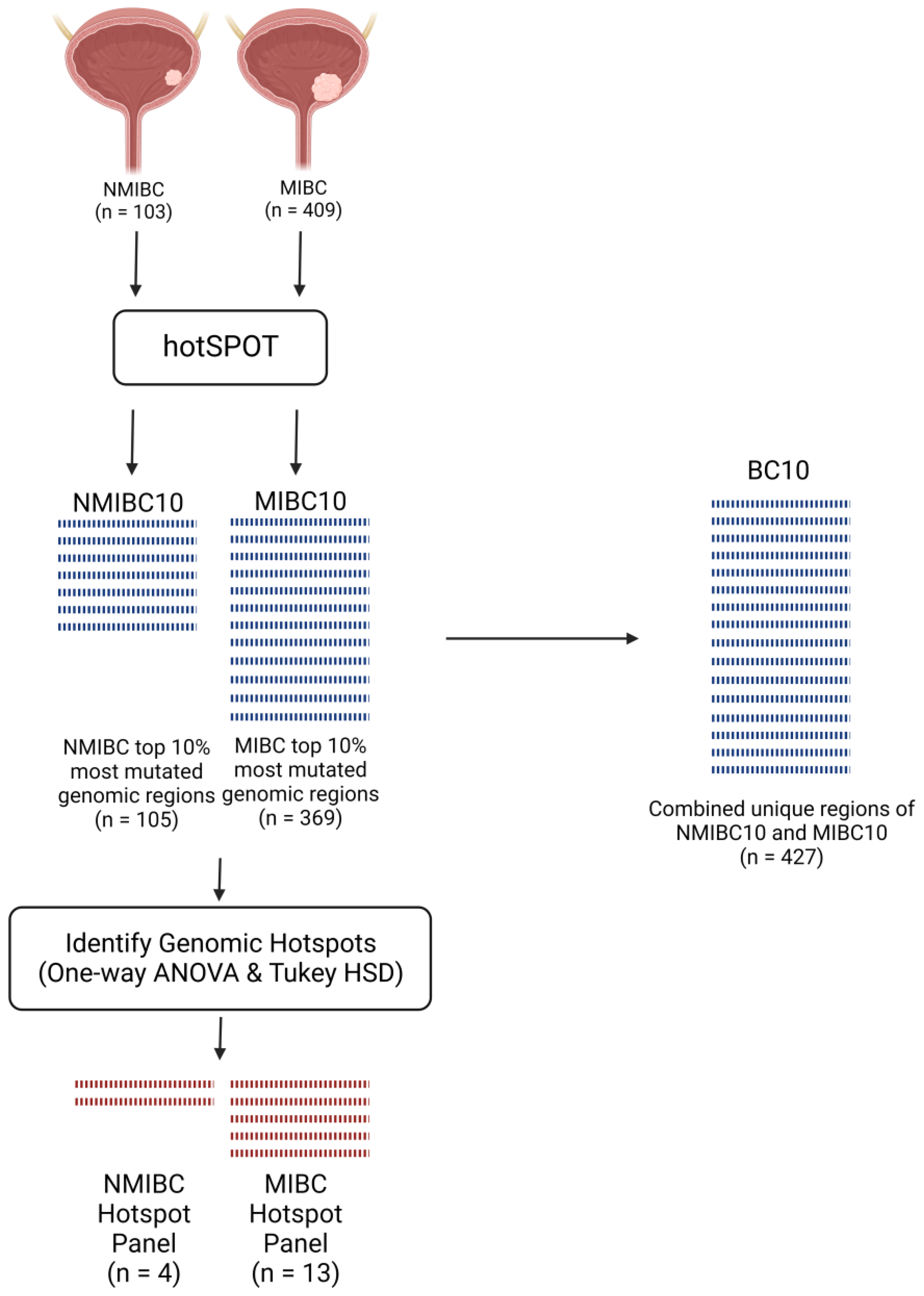 Ijms 24 07852 g001 Ijms 24 07852 g001