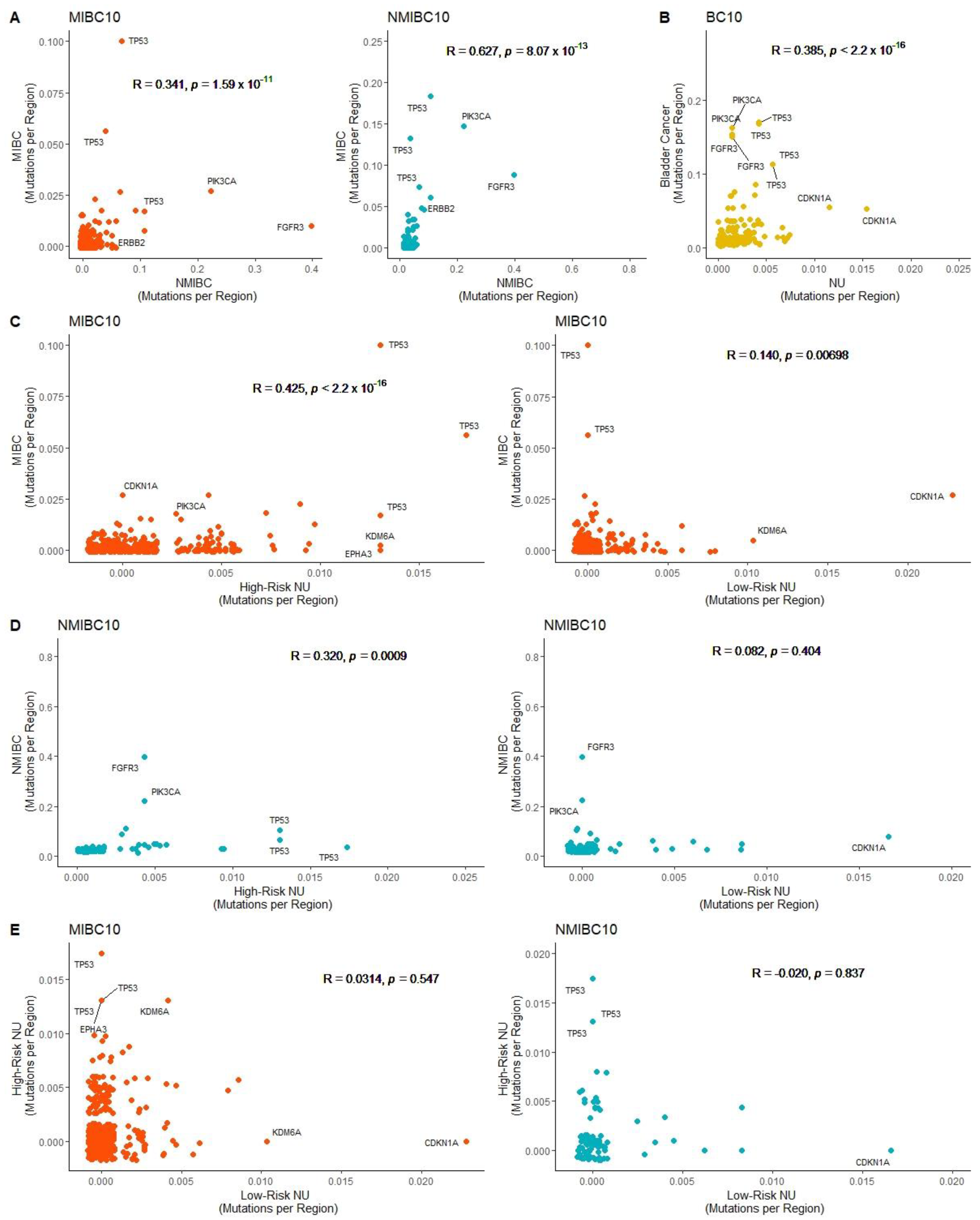 Ijms 24 07852 g002 Ijms 24 07852 g002