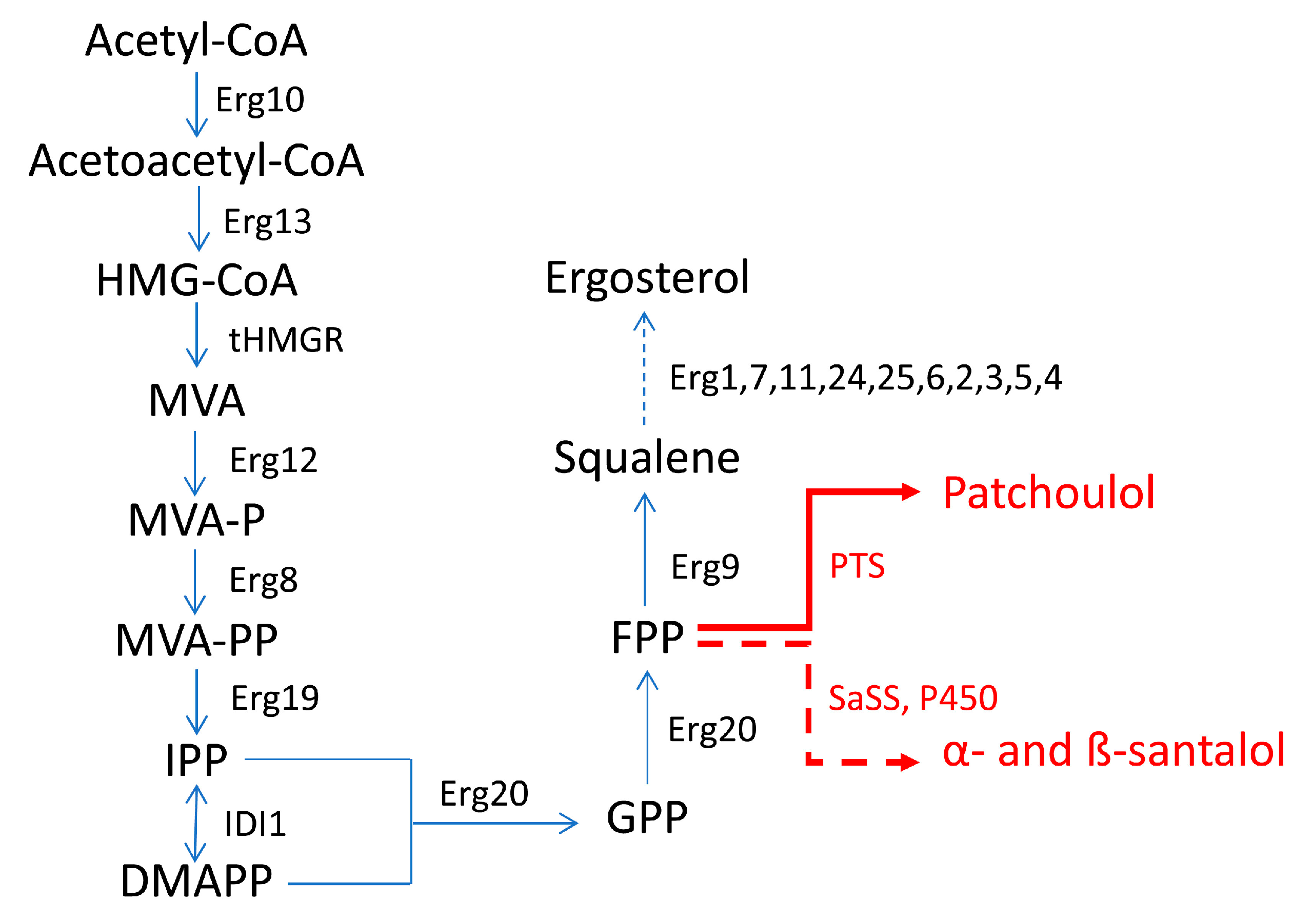 Ijms 24 07874 g004 Ijms 24 07874 g004