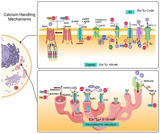 Ion channels versus ion pumps: the principal difference, in principle