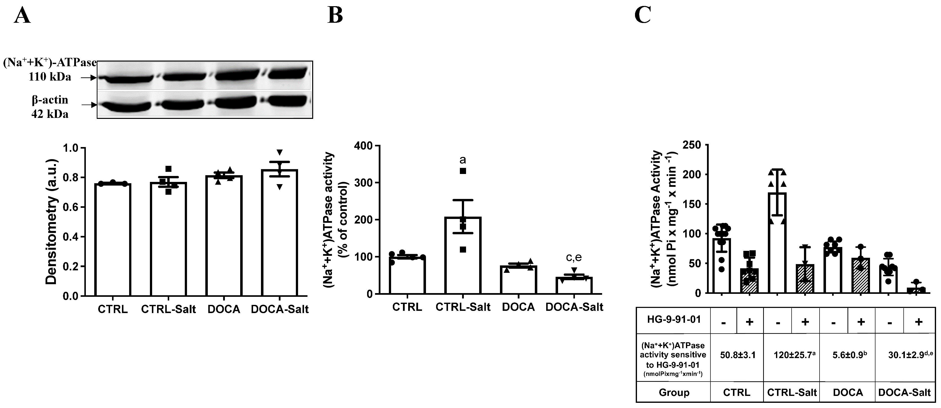 Ijms 24 07887 g009 Ijms 24 07887 g009