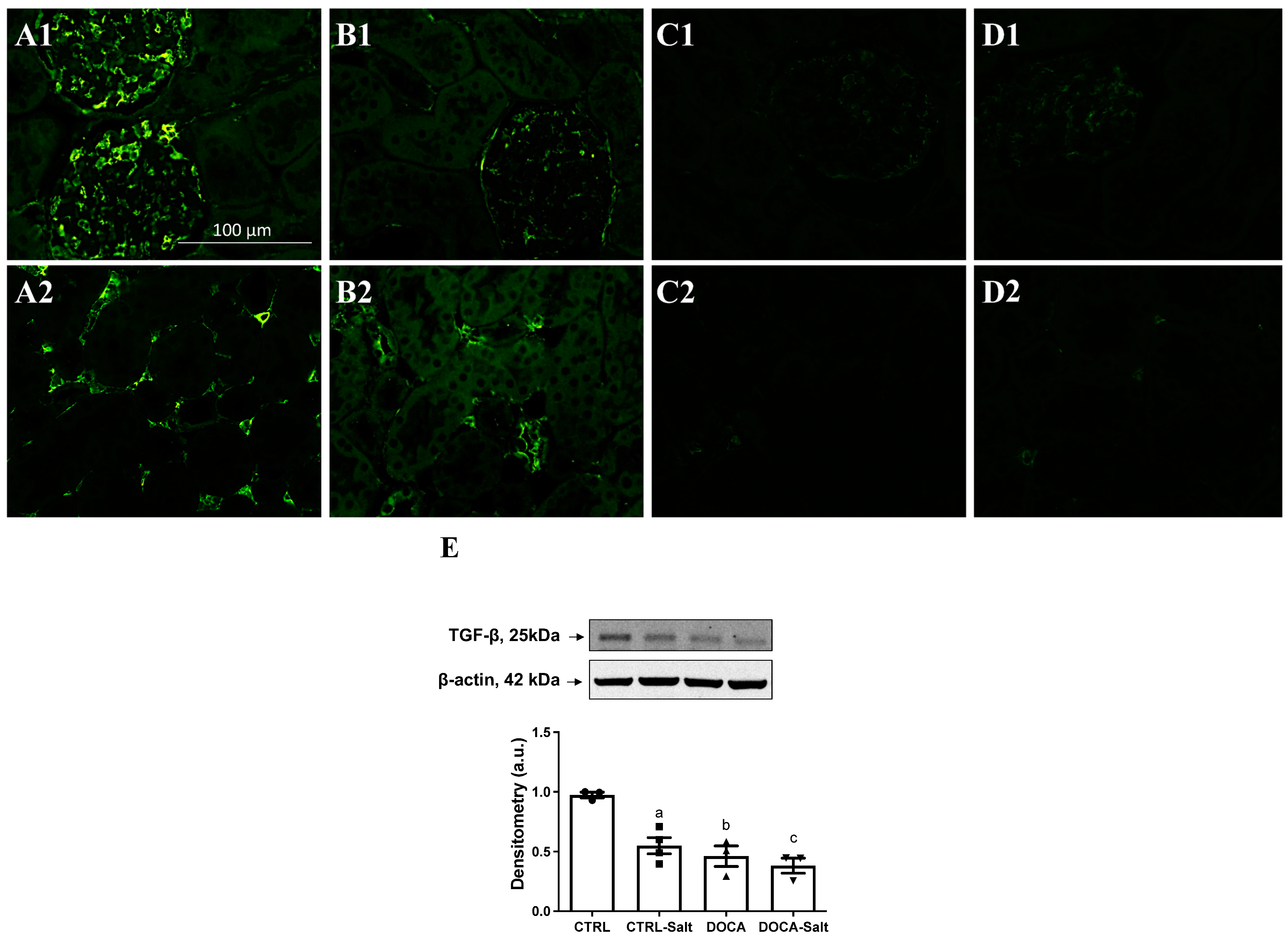 Ijms 24 07887 g010 Ijms 24 07887 g010