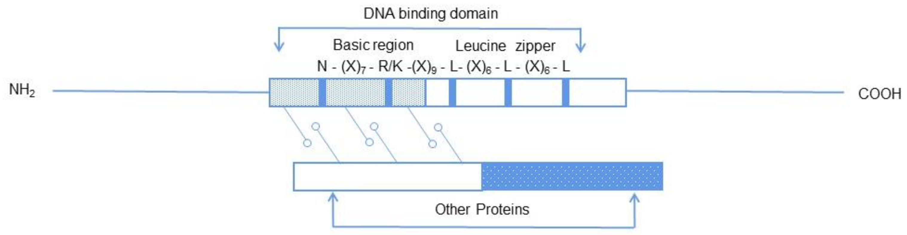 Ijms 24 07893 g001 Ijms 24 07893 g001