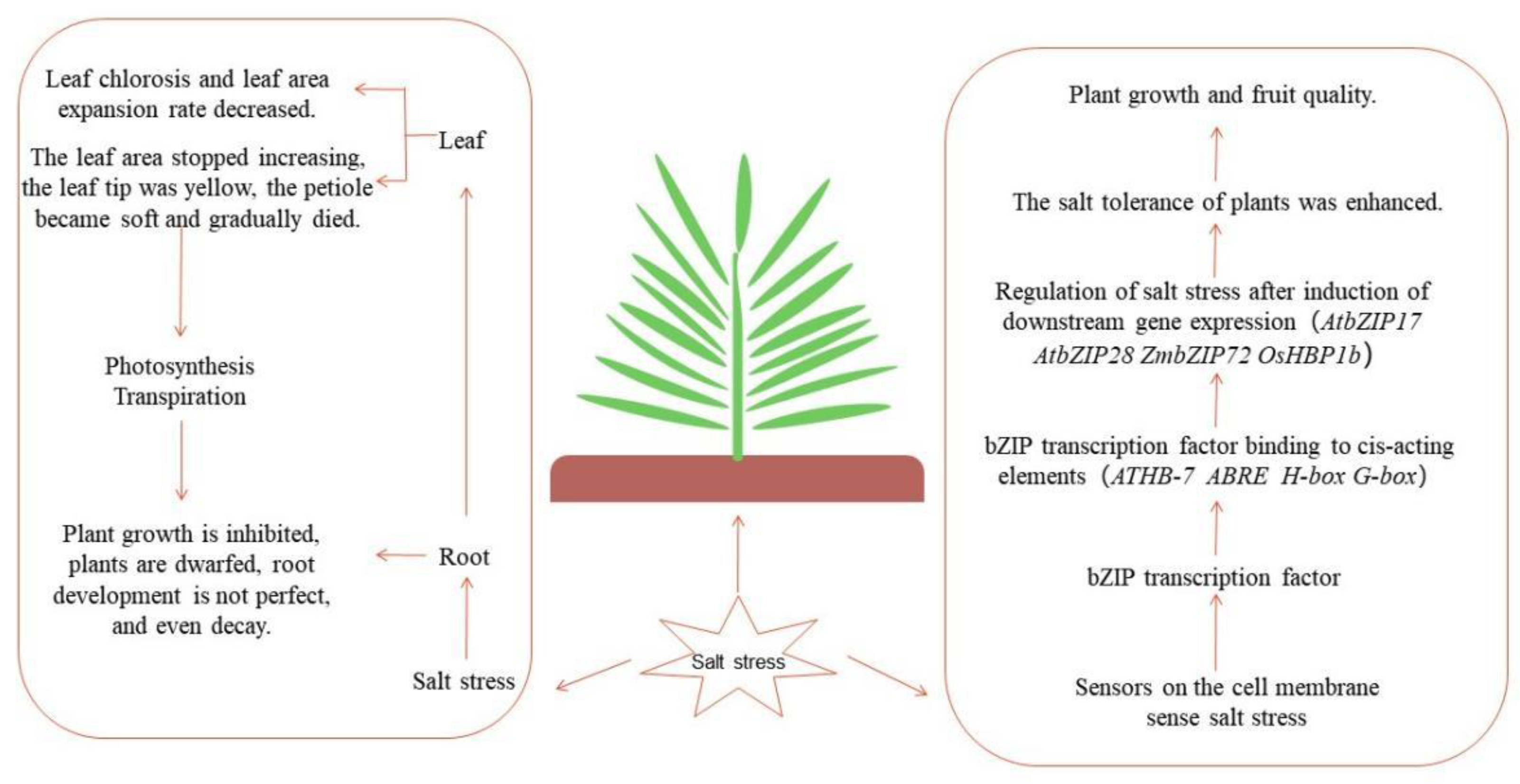 Ijms 24 07893 g002 Ijms 24 07893 g002