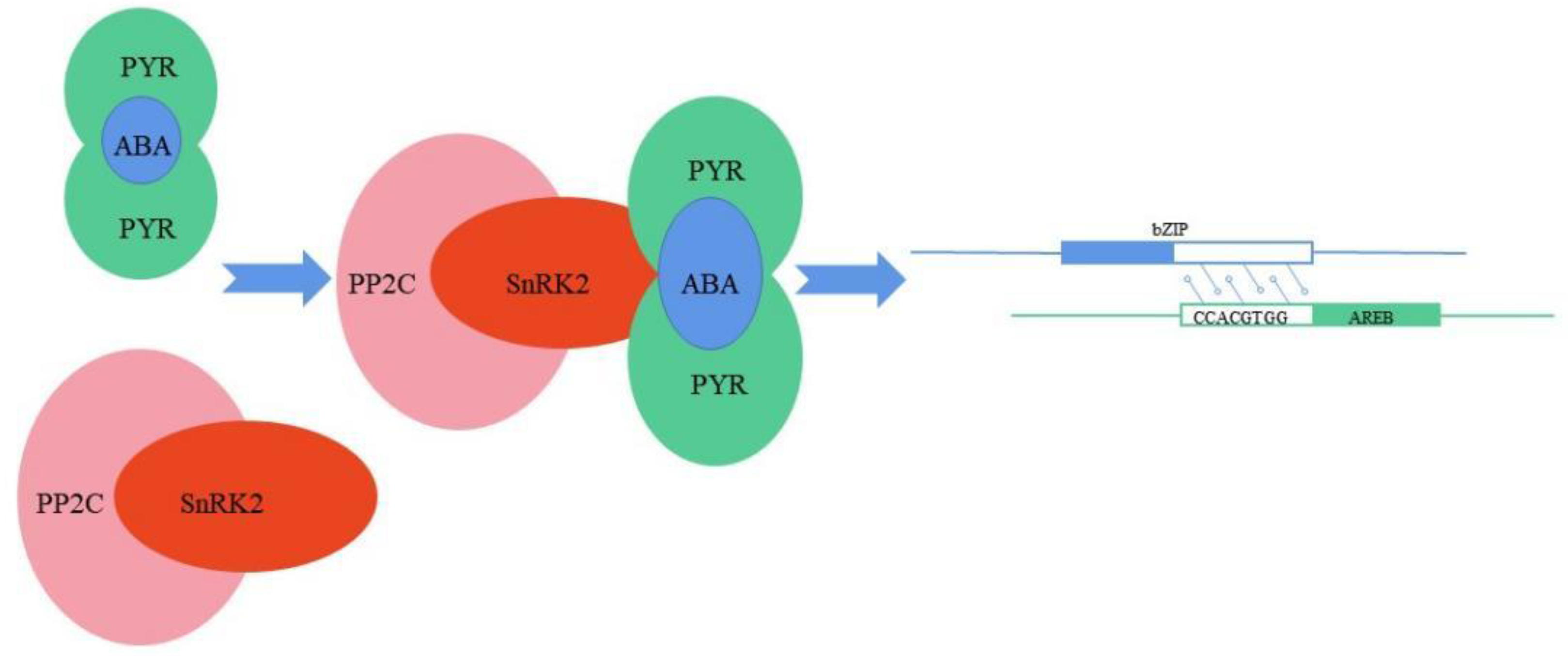 Ijms 24 07893 g003 Ijms 24 07893 g003