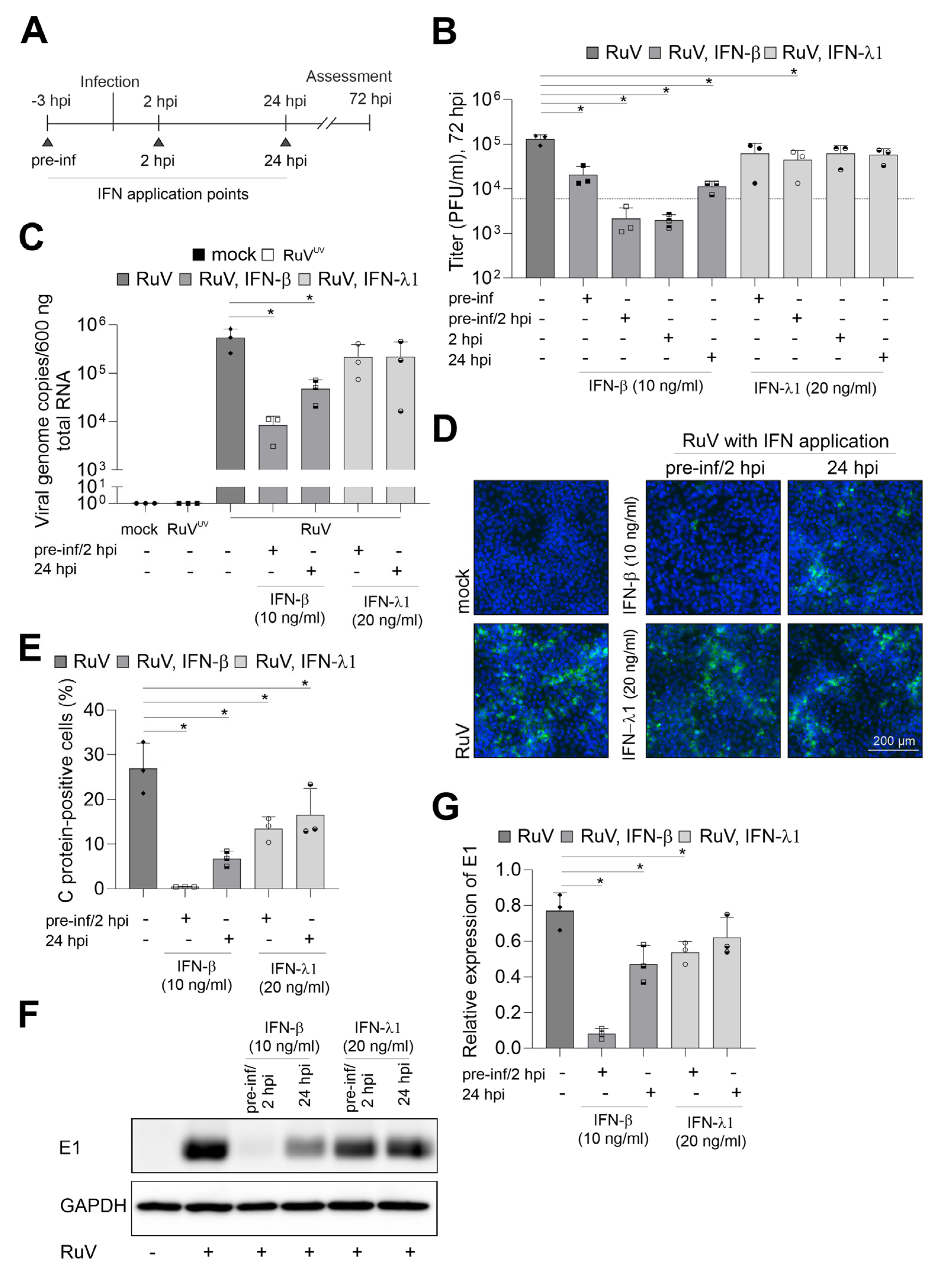 Ijms 24 07894 g003 Ijms 24 07894 g003