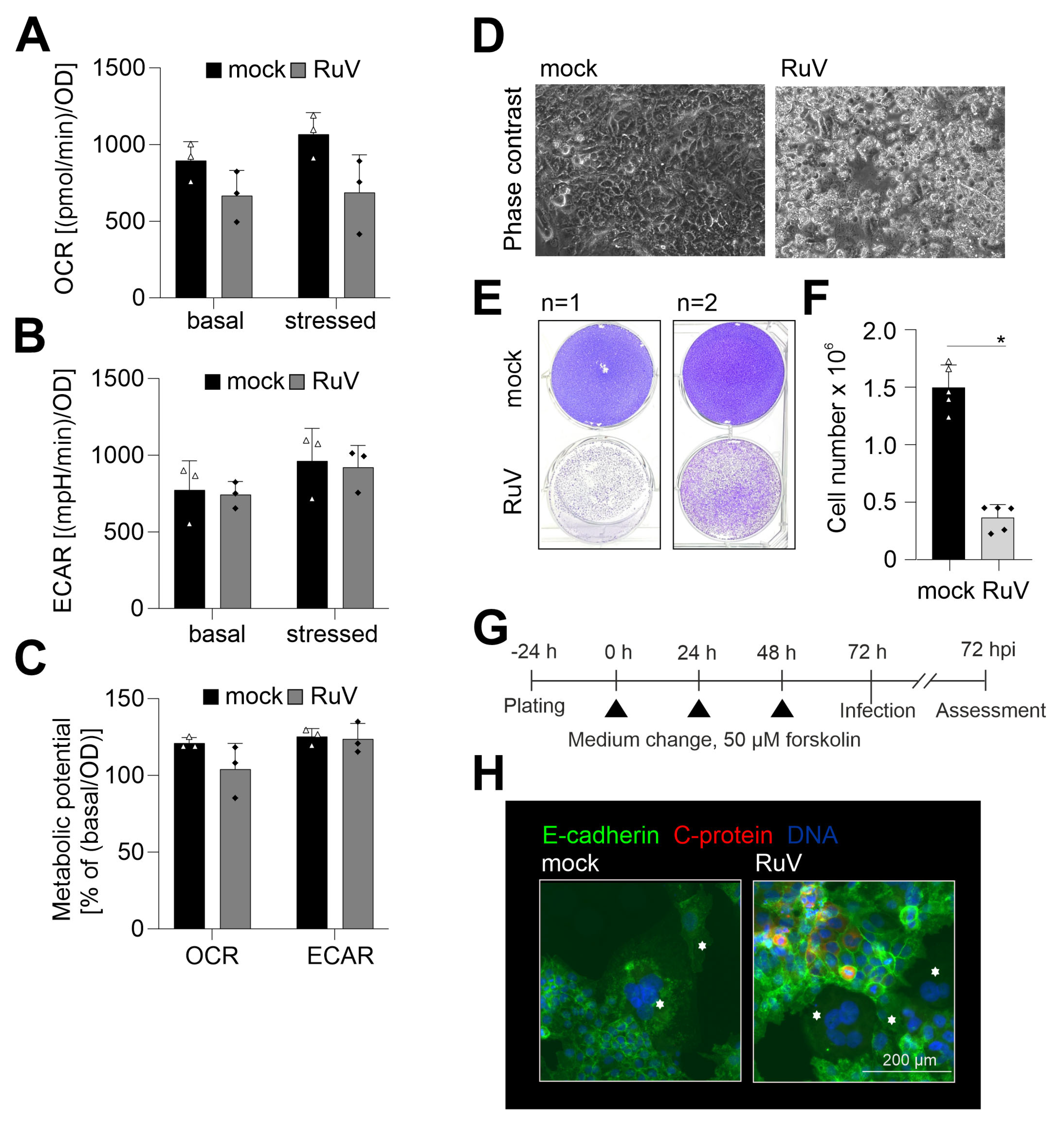 Ijms 24 07894 g004 Ijms 24 07894 g004