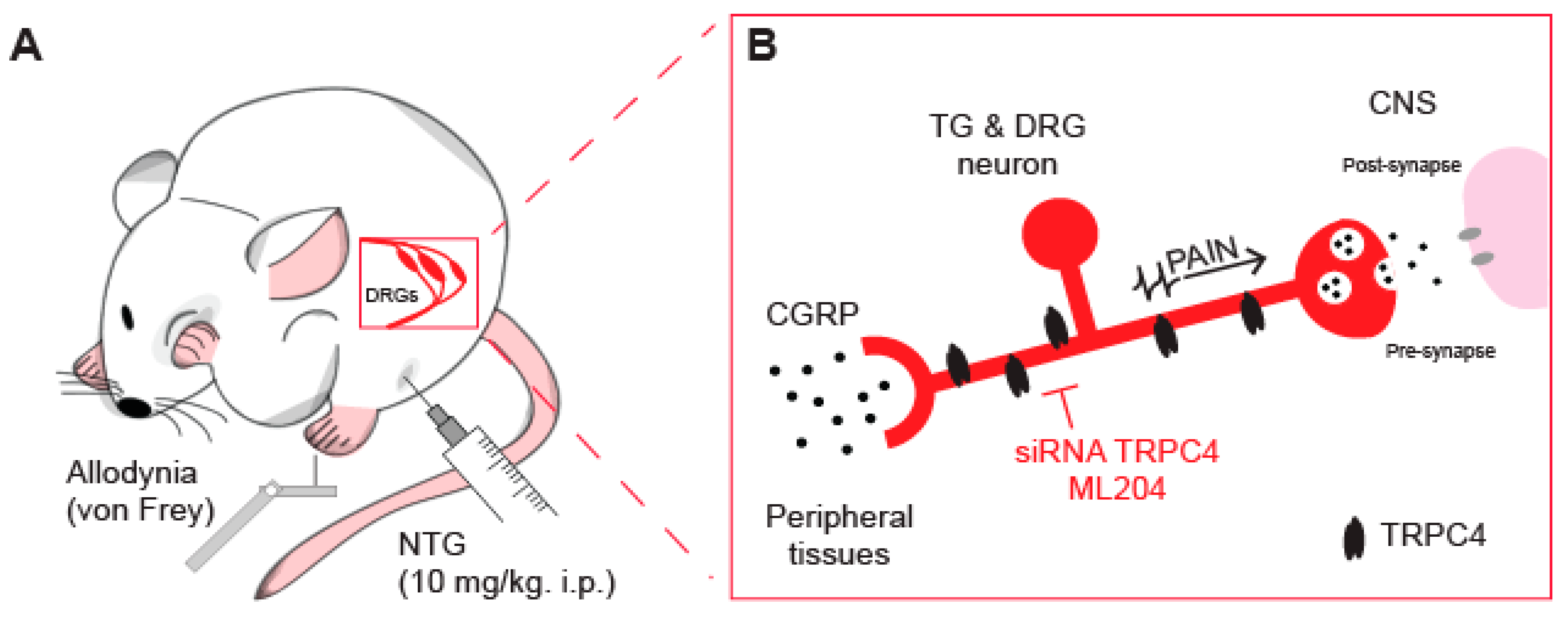 Ijms 24 07897 g002 Ijms 24 07897 g002