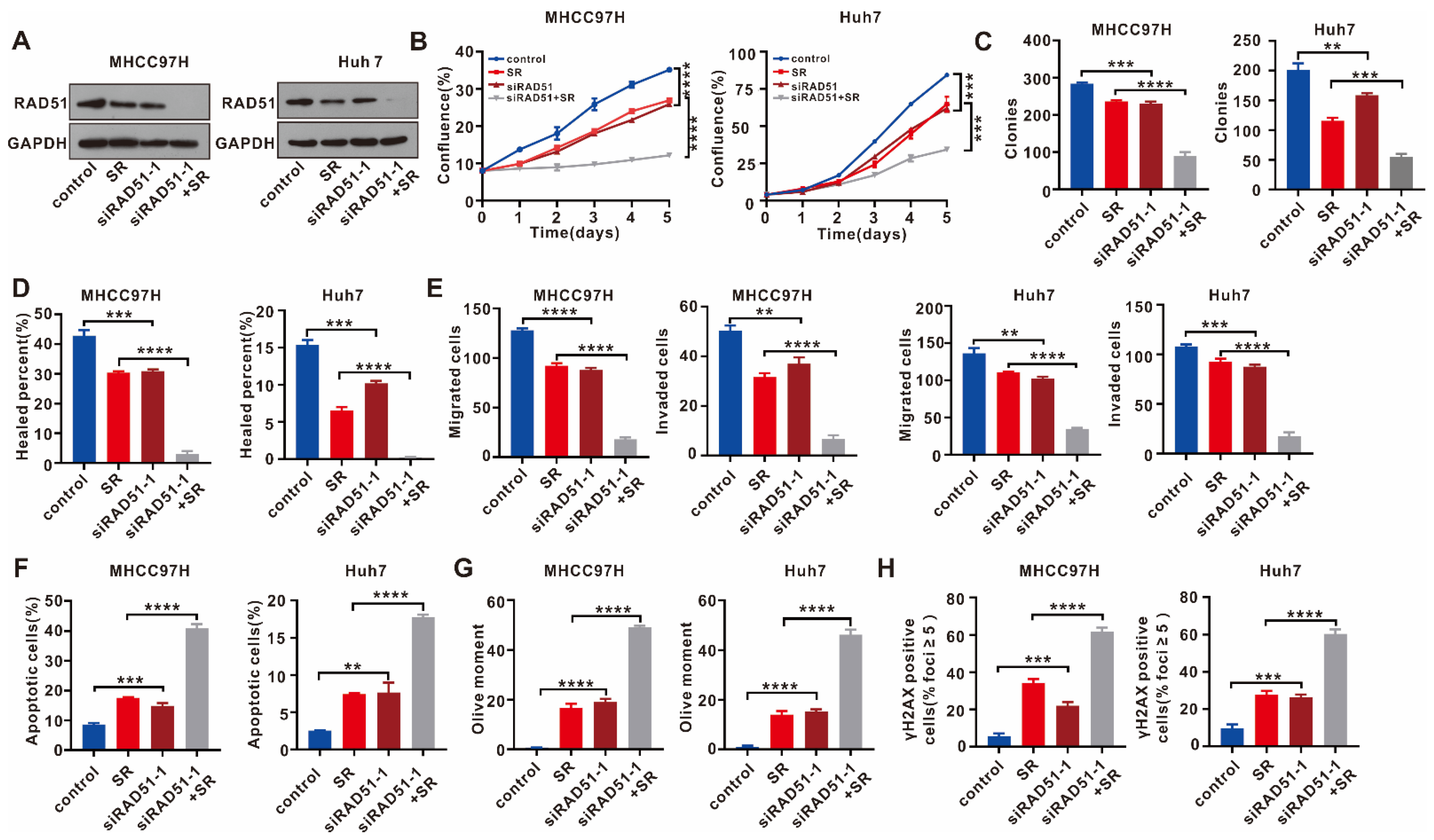 Ijms 24 07905 g004 Ijms 24 07905 g004