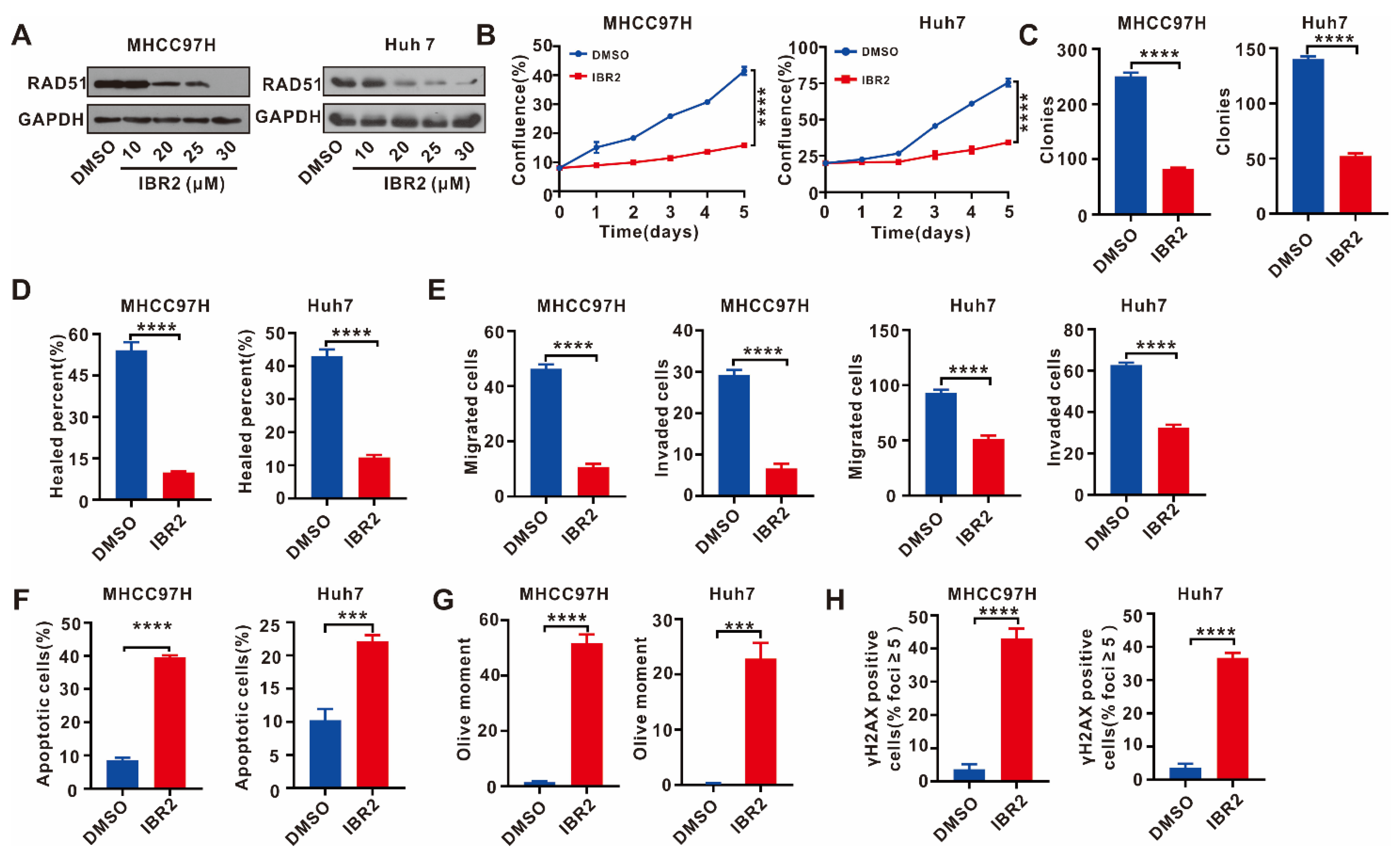 Ijms 24 07905 g005 Ijms 24 07905 g005