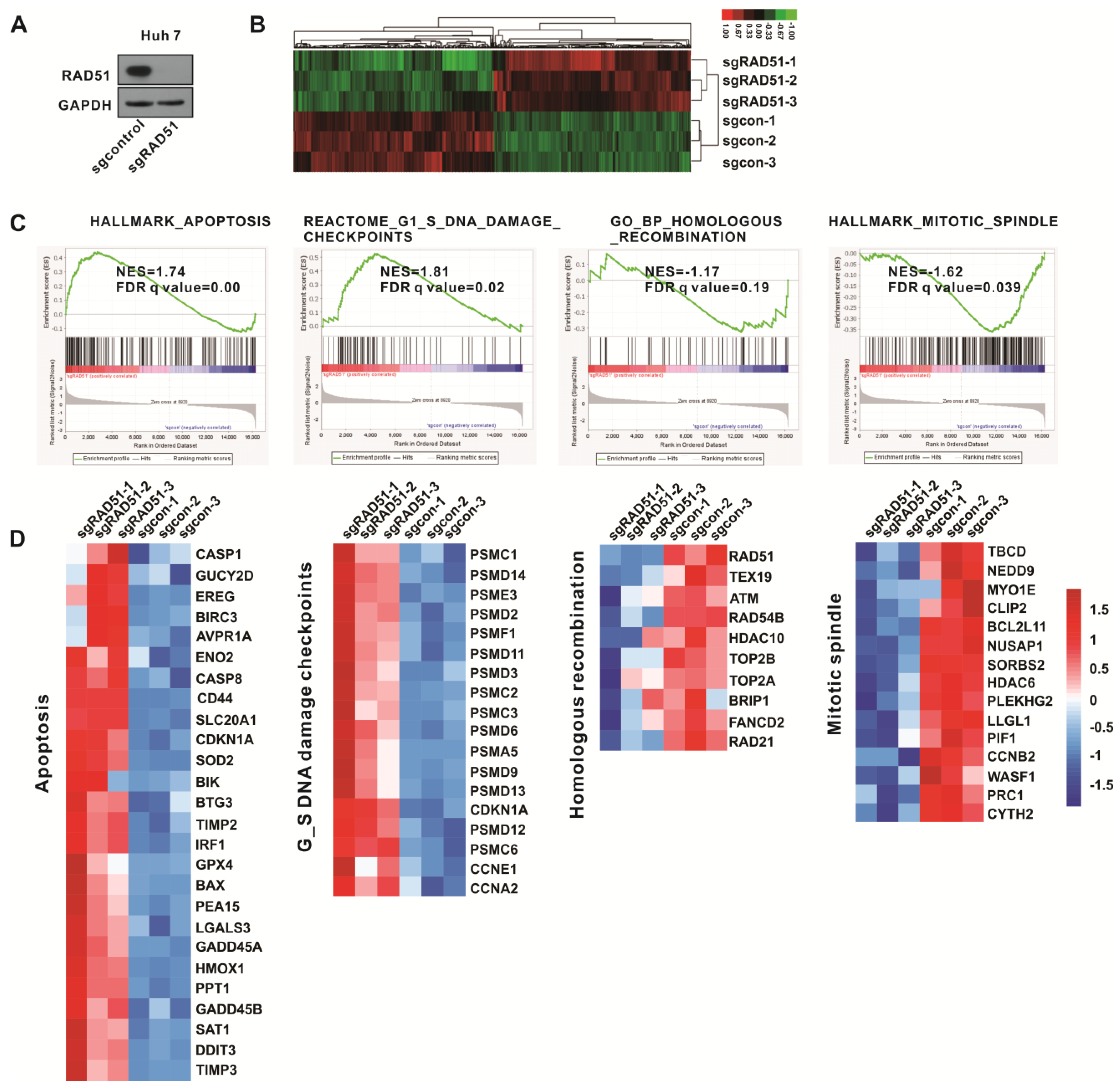 Ijms 24 07905 g007 Ijms 24 07905 g007