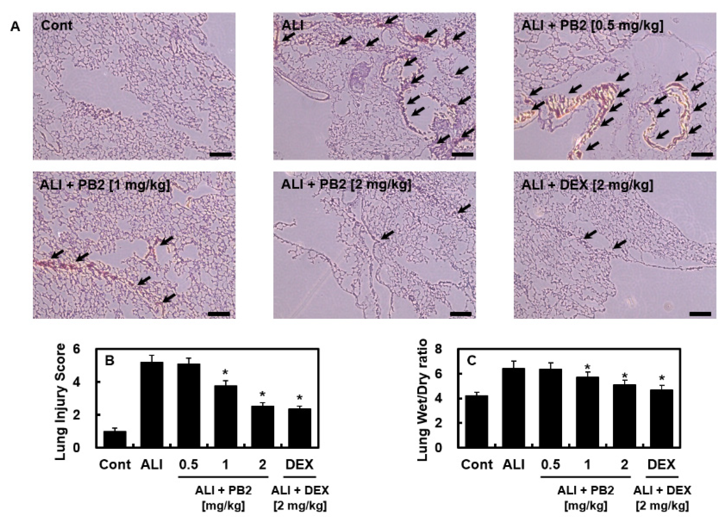 Ijms 24 07930 g001 Ijms 24 07930 g001