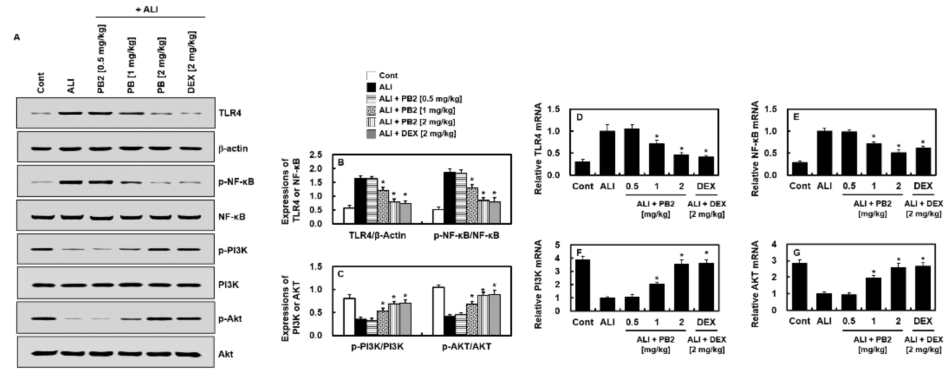 Ijms 24 07930 g003 Ijms 24 07930 g003