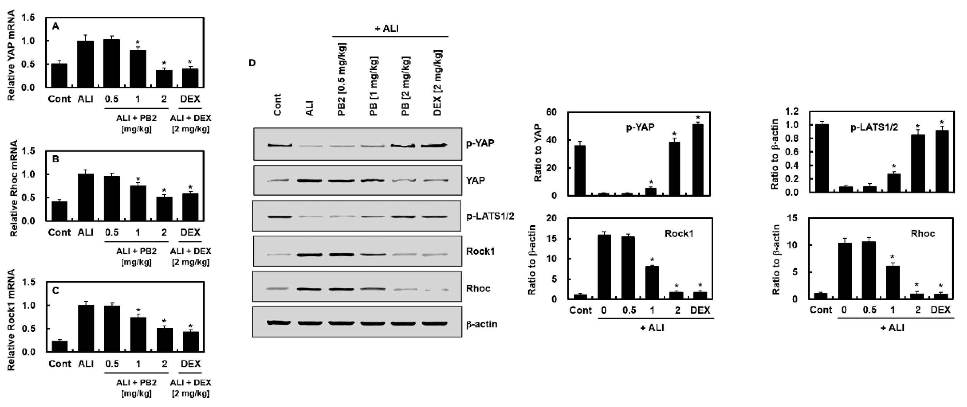 Ijms 24 07930 g004 Ijms 24 07930 g004