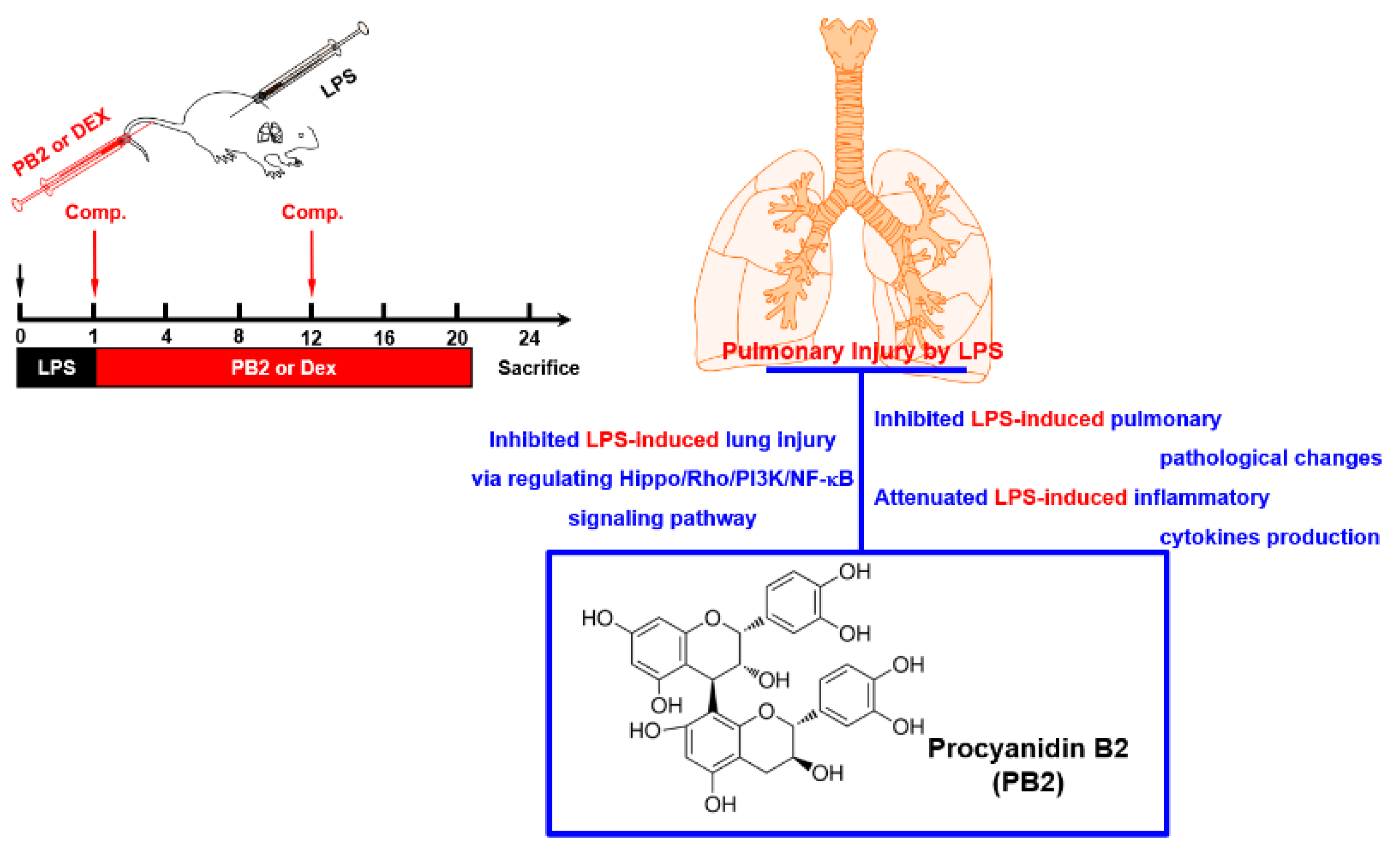 Ijms 24 07930 g005 Ijms 24 07930 g005