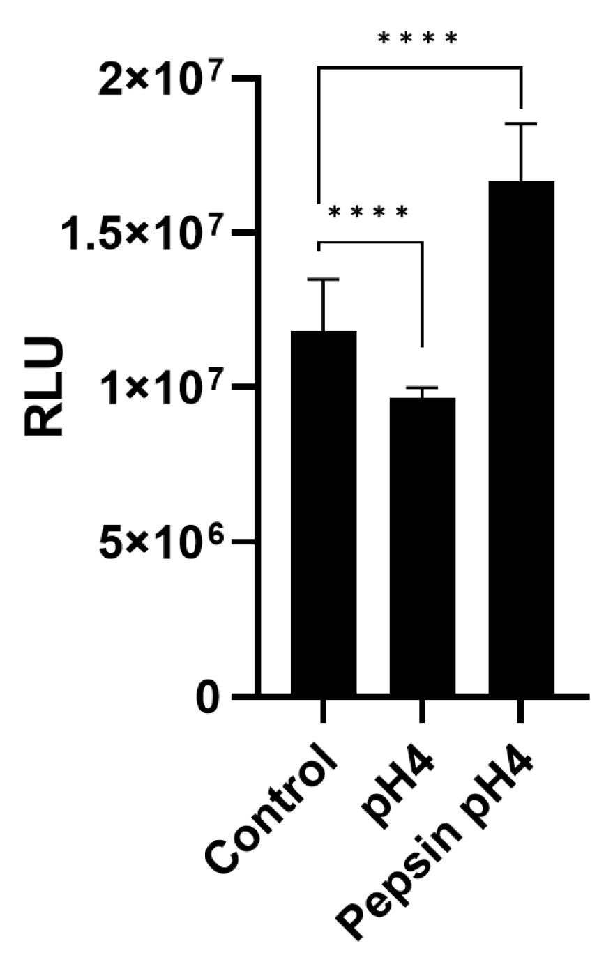 Ijms 24 07932 g006 Ijms 24 07932 g006