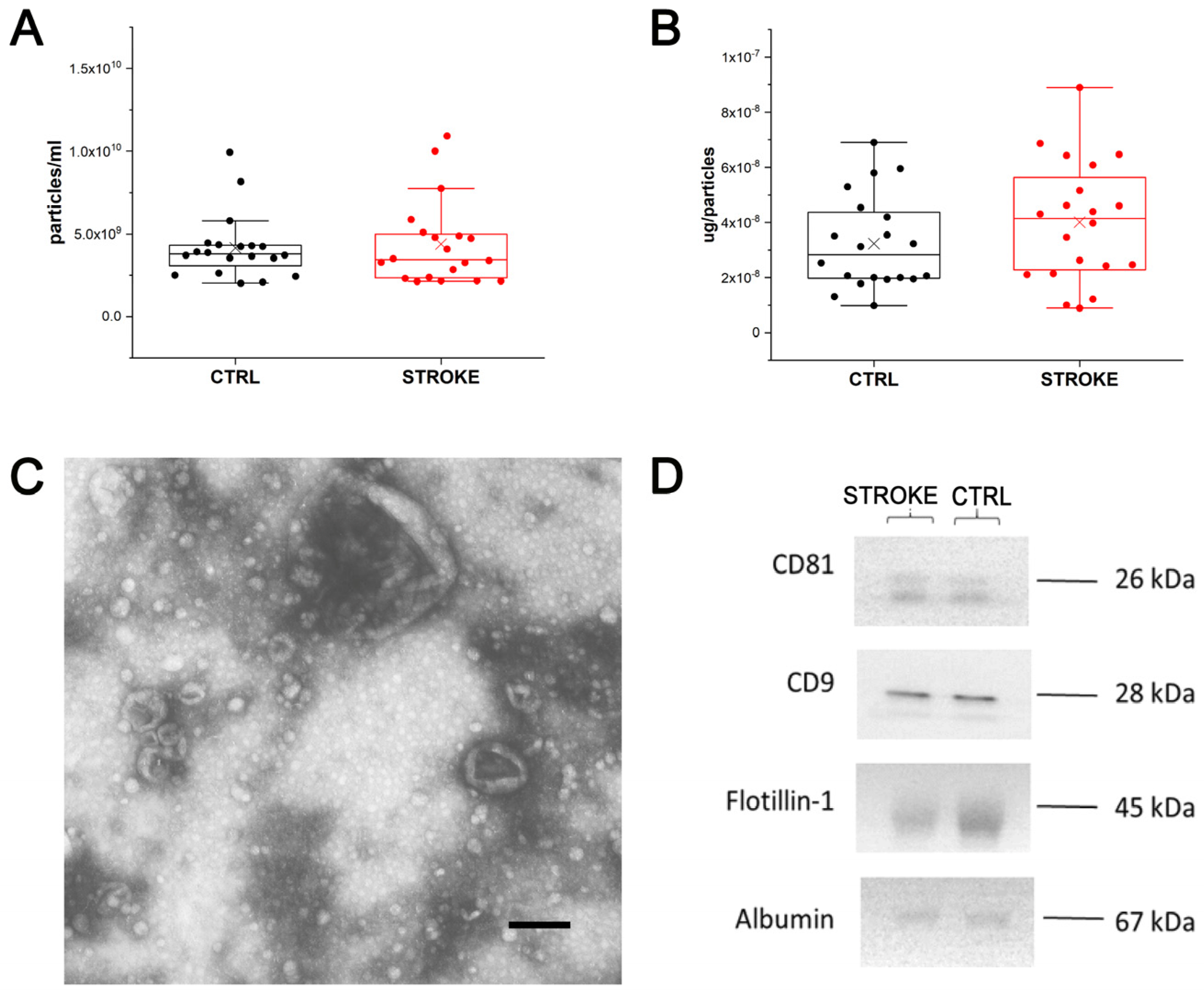 Ijms 24 07937 g003 Ijms 24 07937 g003