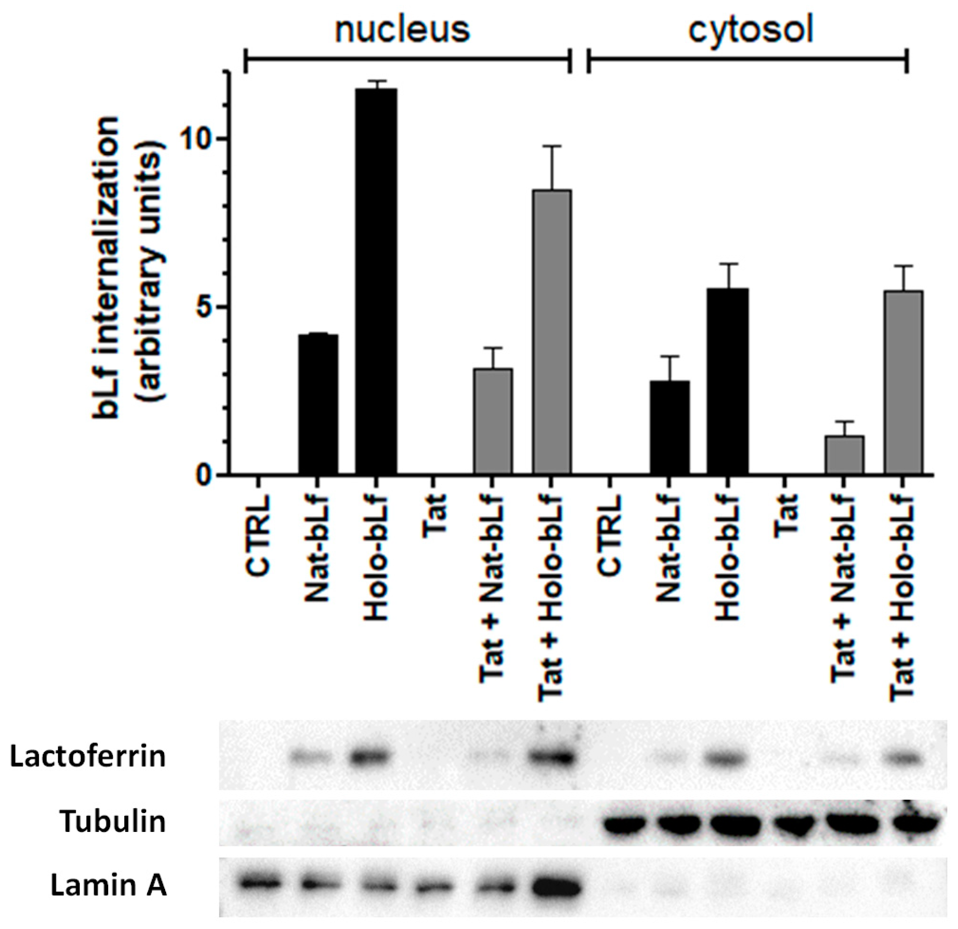 IJMS | Free Full-Text | Iron Saturation Drives Lactoferrin Effects