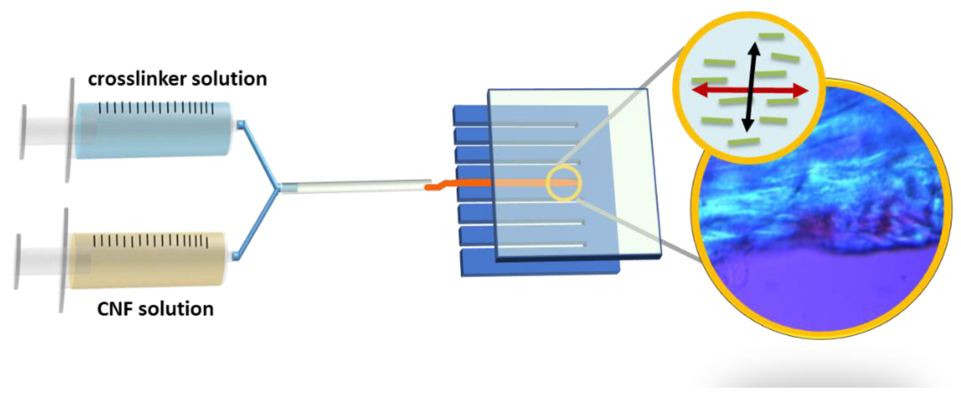 Ijms 24 07952 g001 Ijms 24 07952 g001