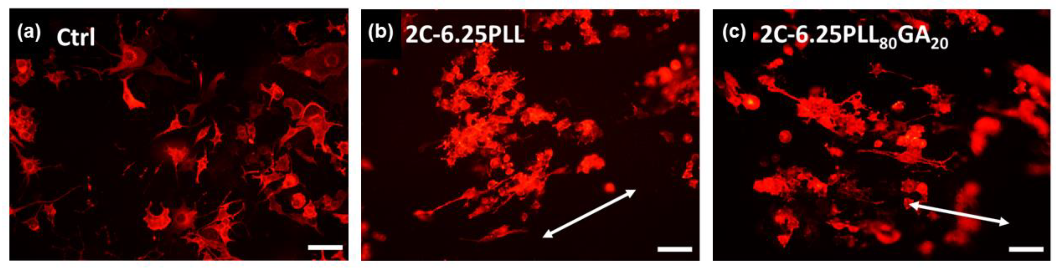 Ijms 24 07952 g009 Ijms 24 07952 g009