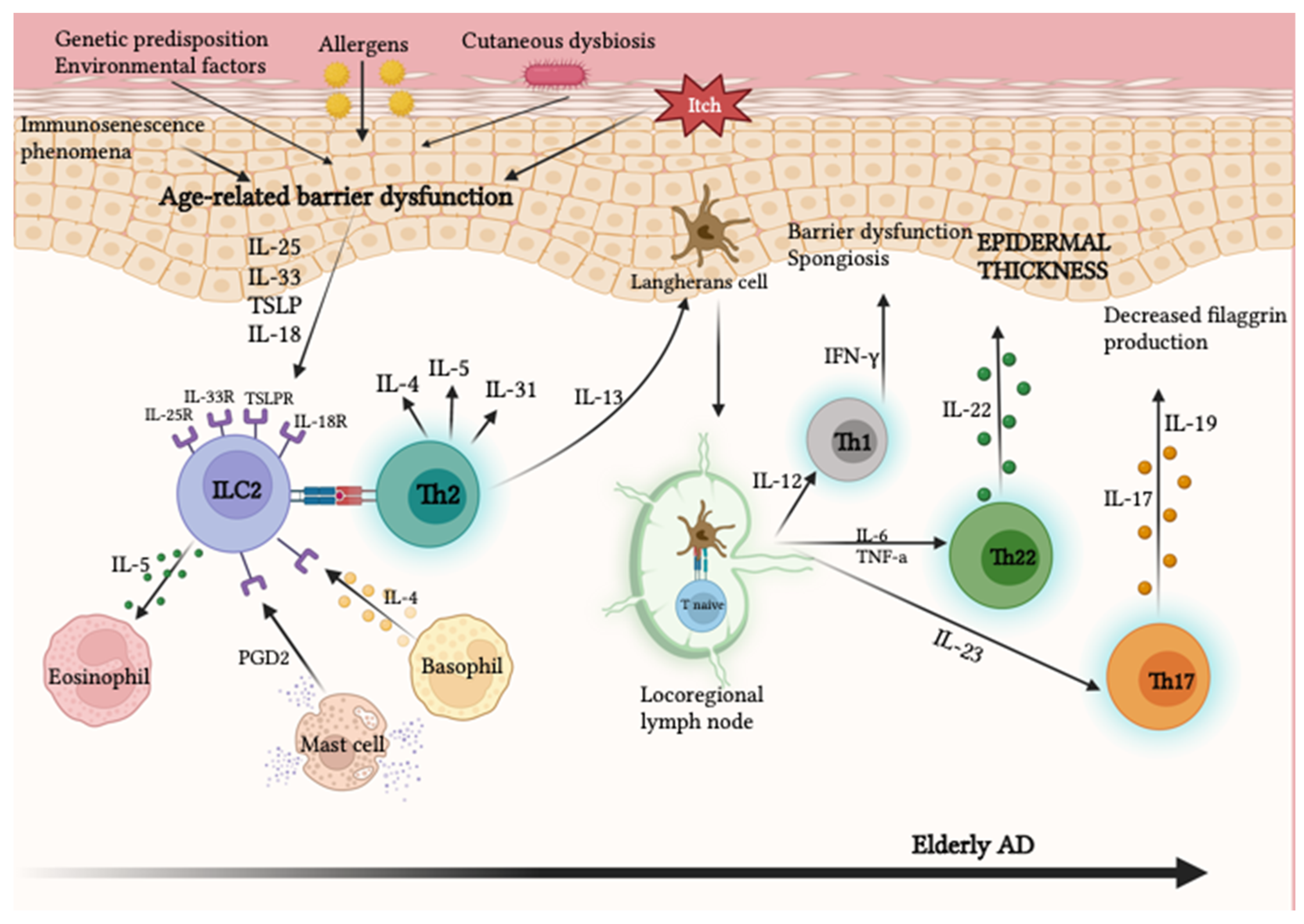 Ijms 24 07956 g003 Ijms 24 07956 g003