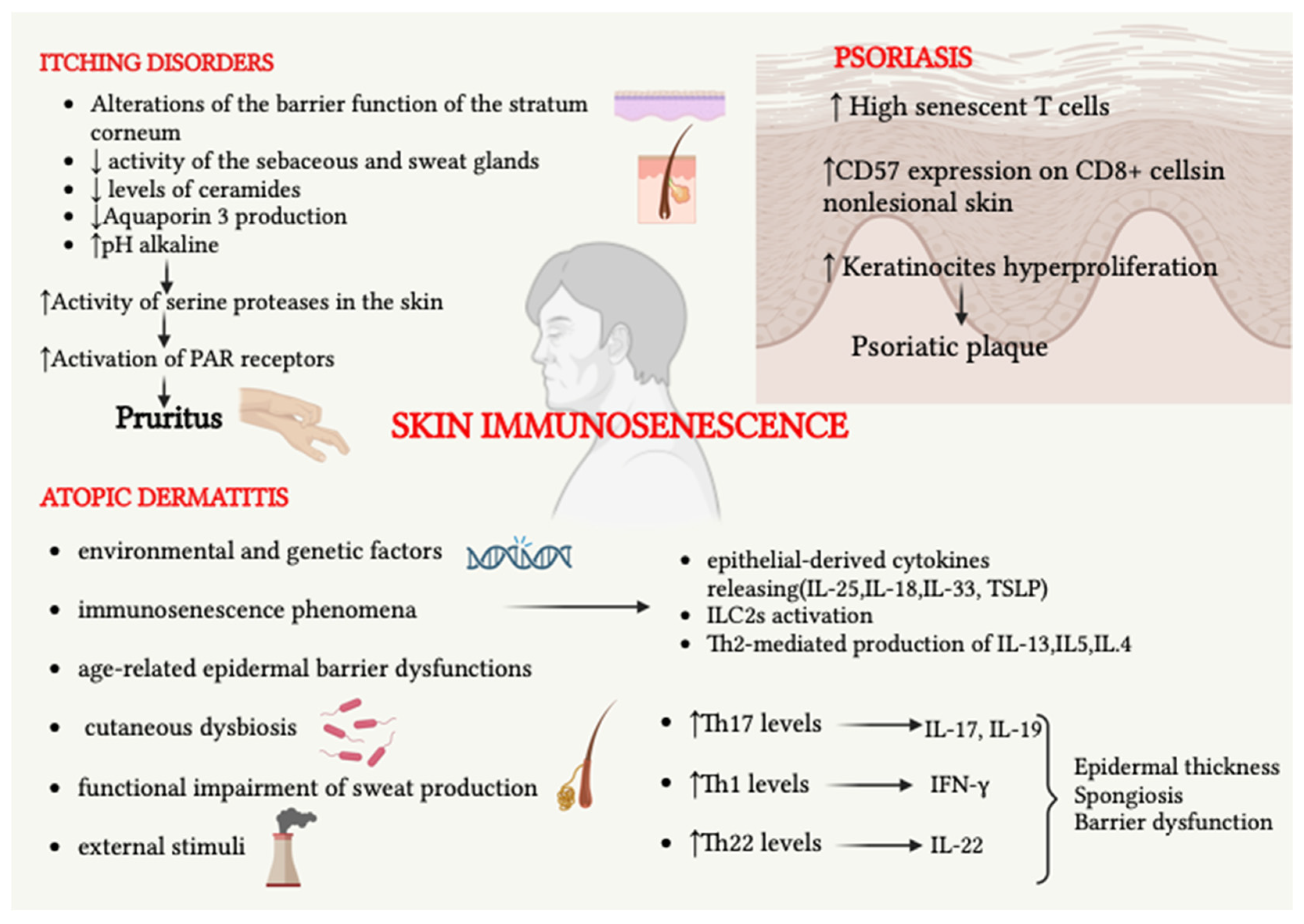 Ijms 24 07956 g004 Ijms 24 07956 g004