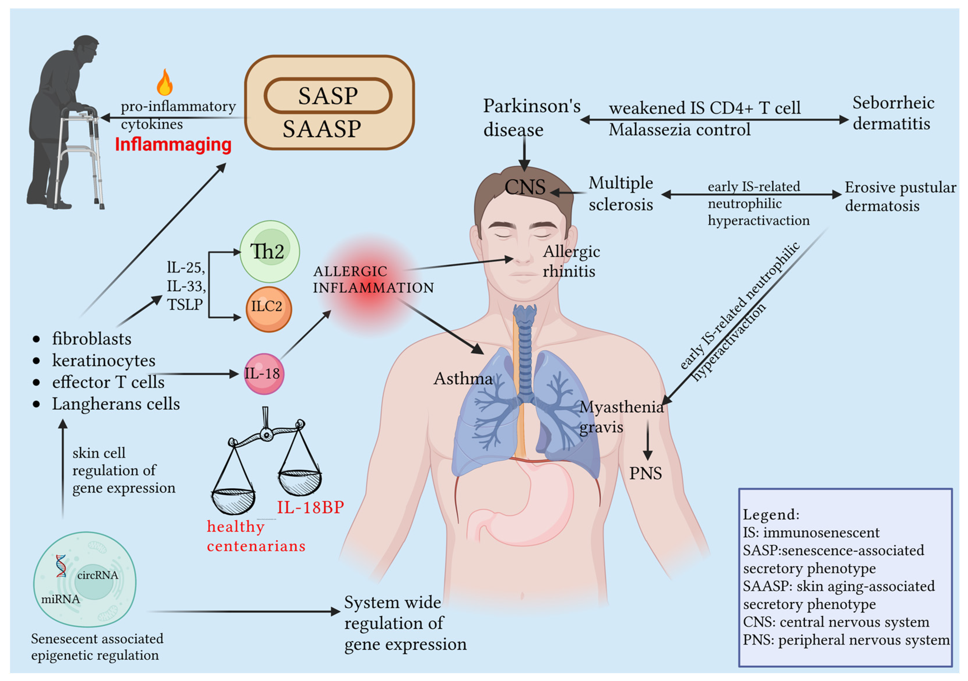 Ijms 24 07956 g005 Ijms 24 07956 g005