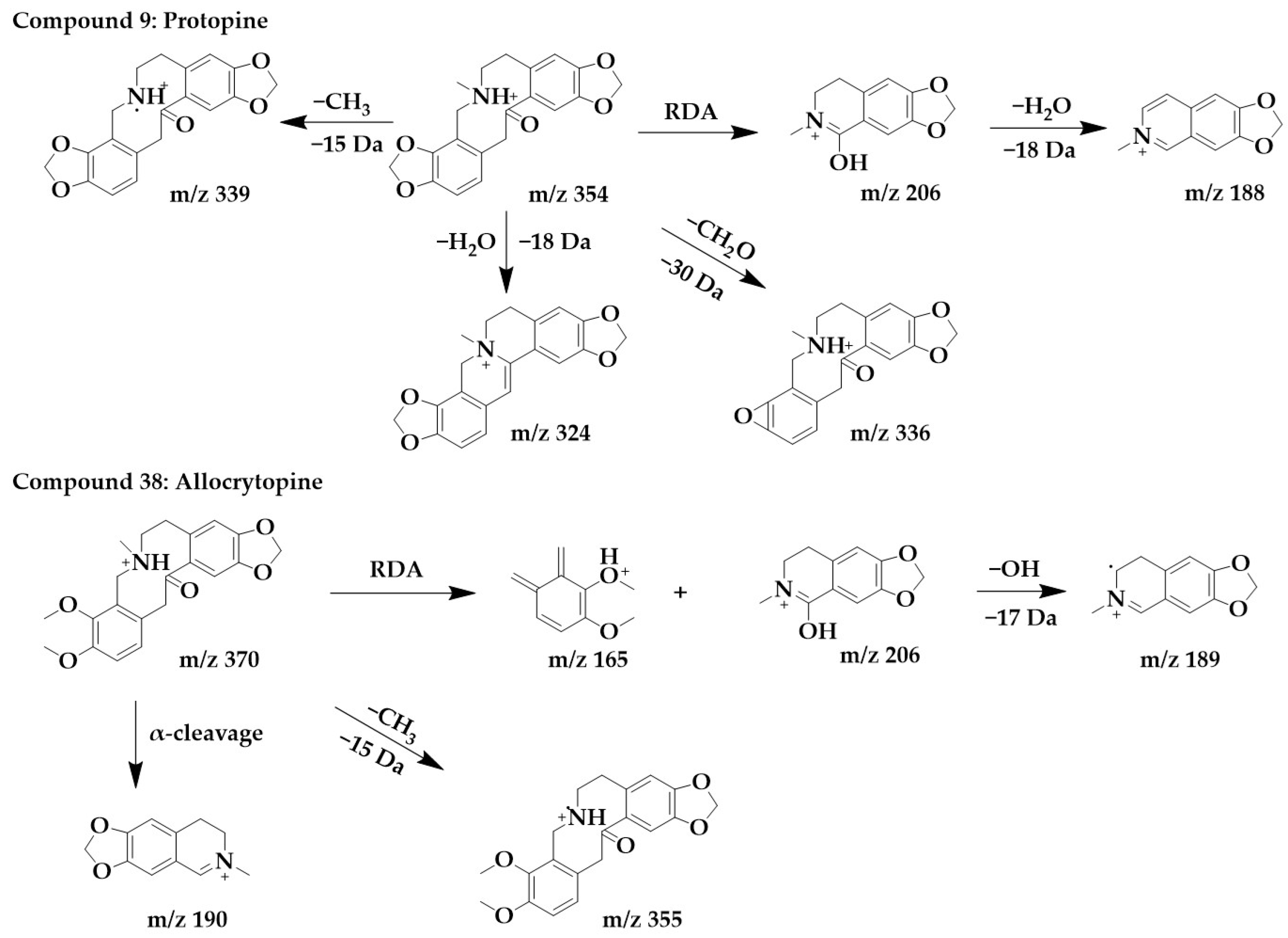 Ijms 24 07972 g007 Ijms 24 07972 g007