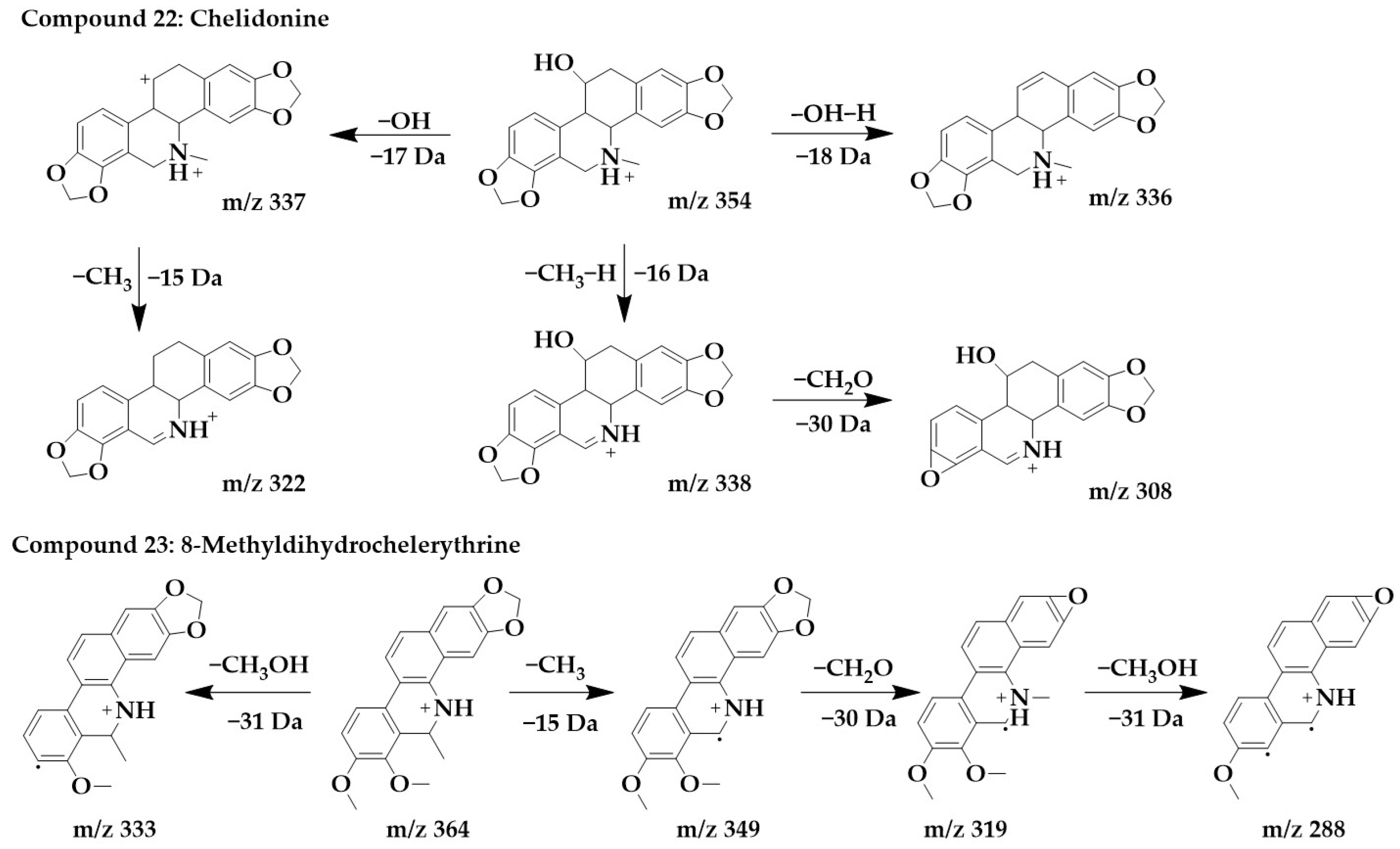 Ijms 24 07972 g008 Ijms 24 07972 g008