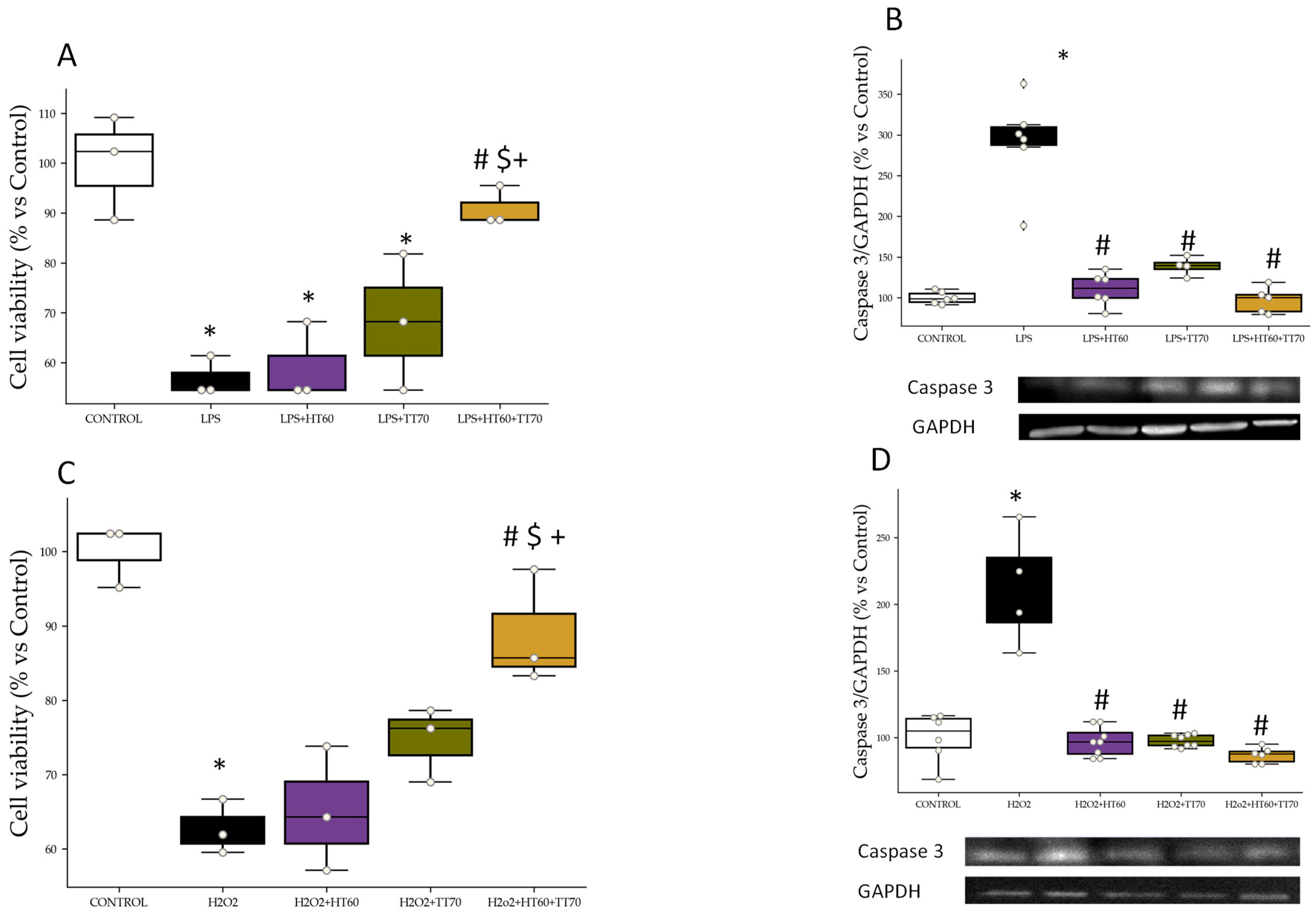 Ijms 24 07977 g001 Ijms 24 07977 g001