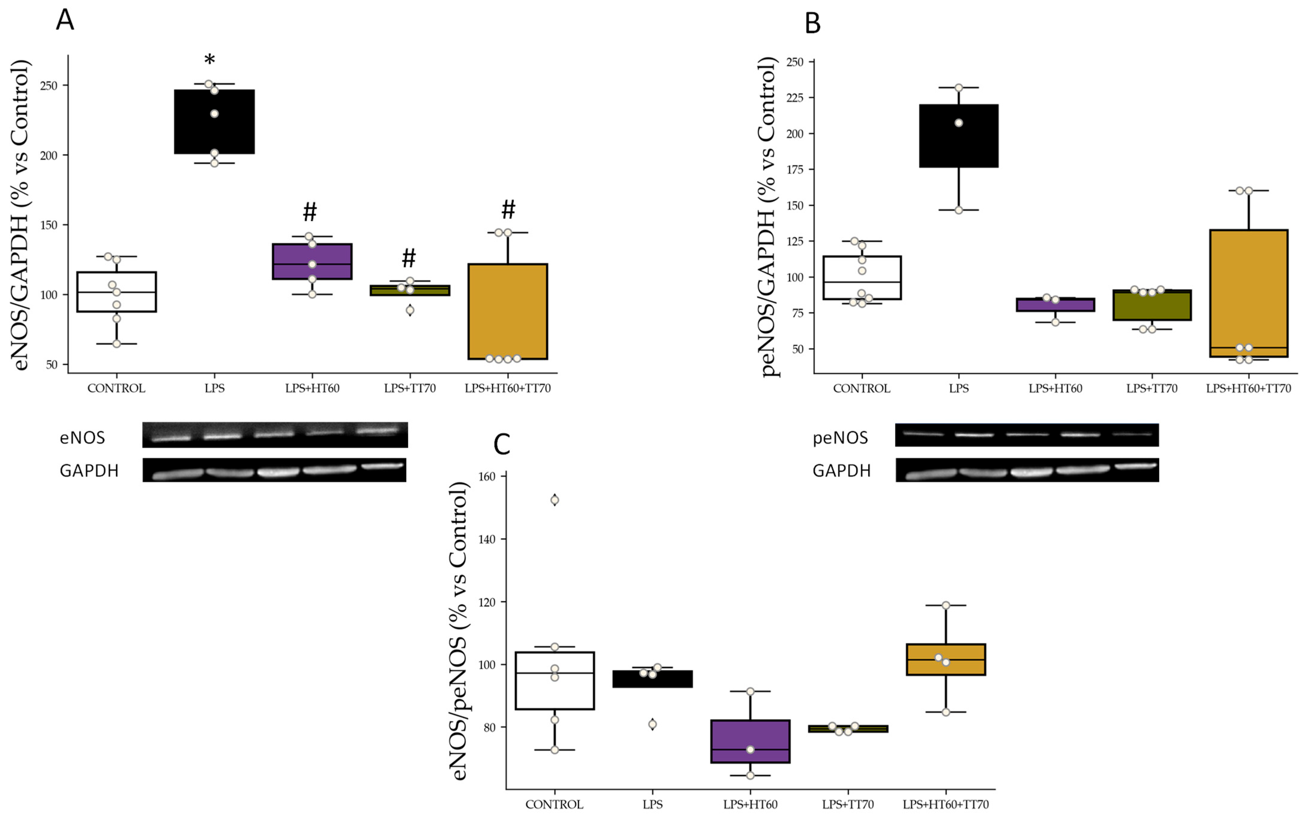 Ijms 24 07977 g003 Ijms 24 07977 g003