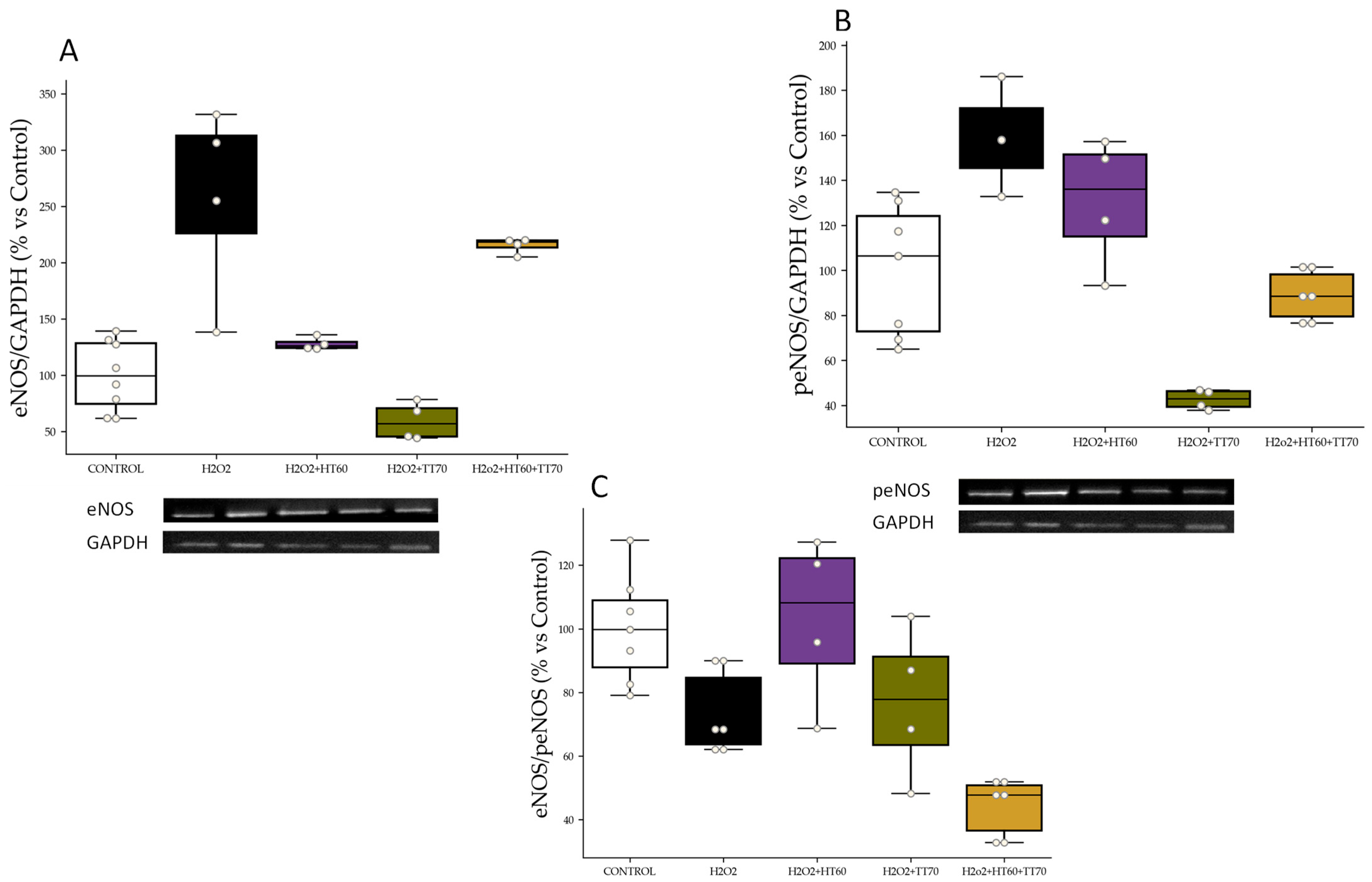 Ijms 24 07977 g004 Ijms 24 07977 g004