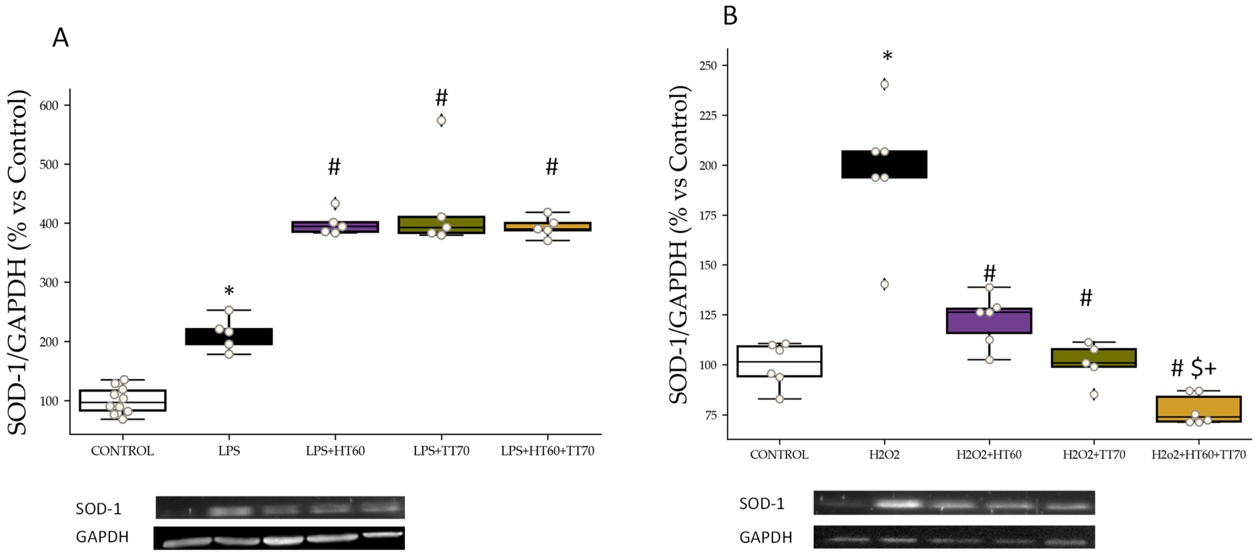 Ijms 24 07977 g005 Ijms 24 07977 g005