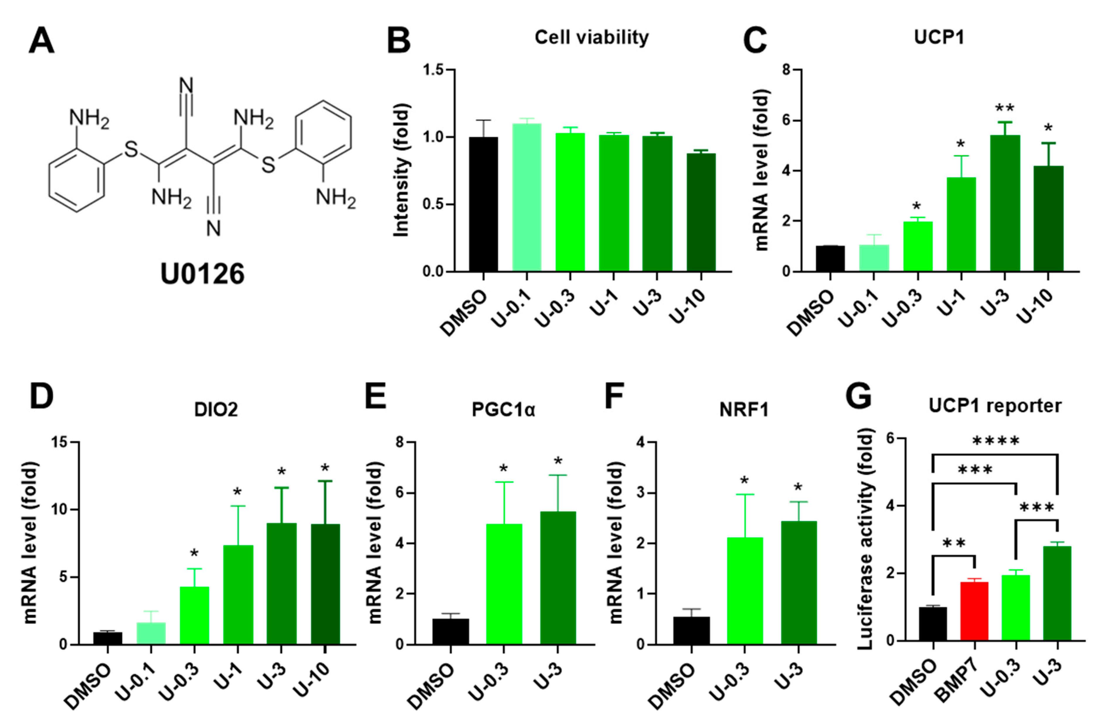 Ijms 24 07987 g001 Ijms 24 07987 g001