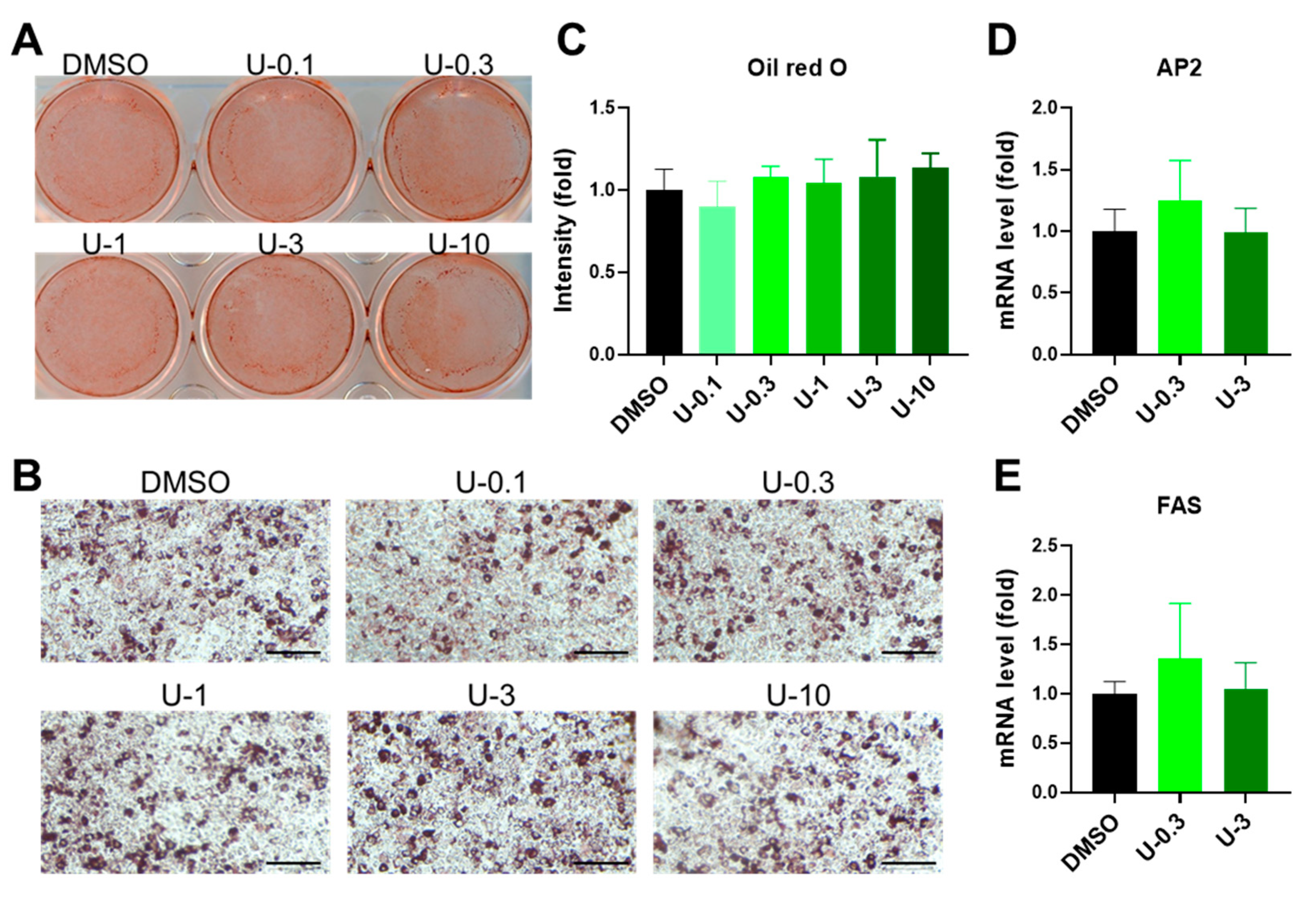 Ijms 24 07987 g002 Ijms 24 07987 g002