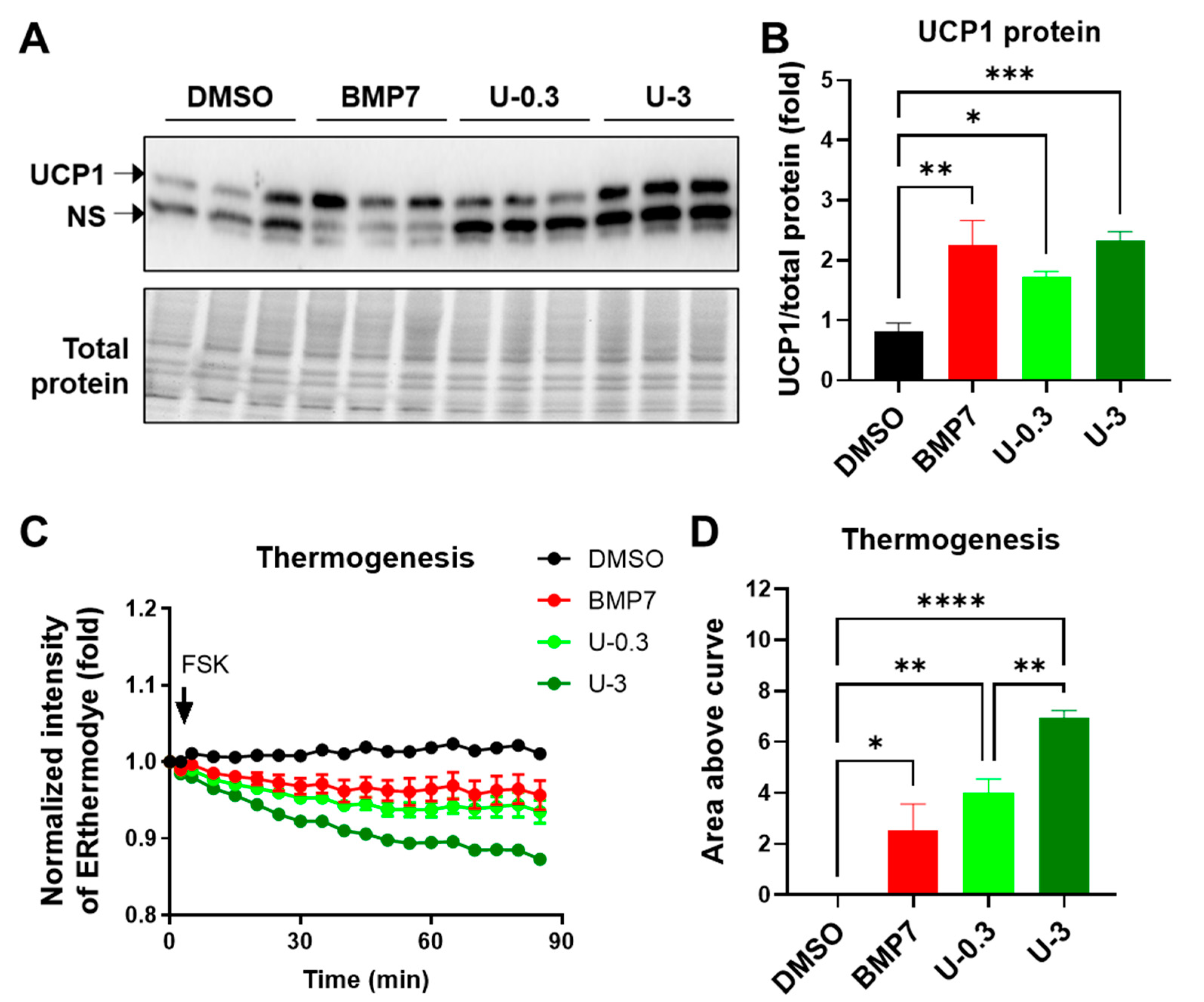 Ijms 24 07987 g003 Ijms 24 07987 g003