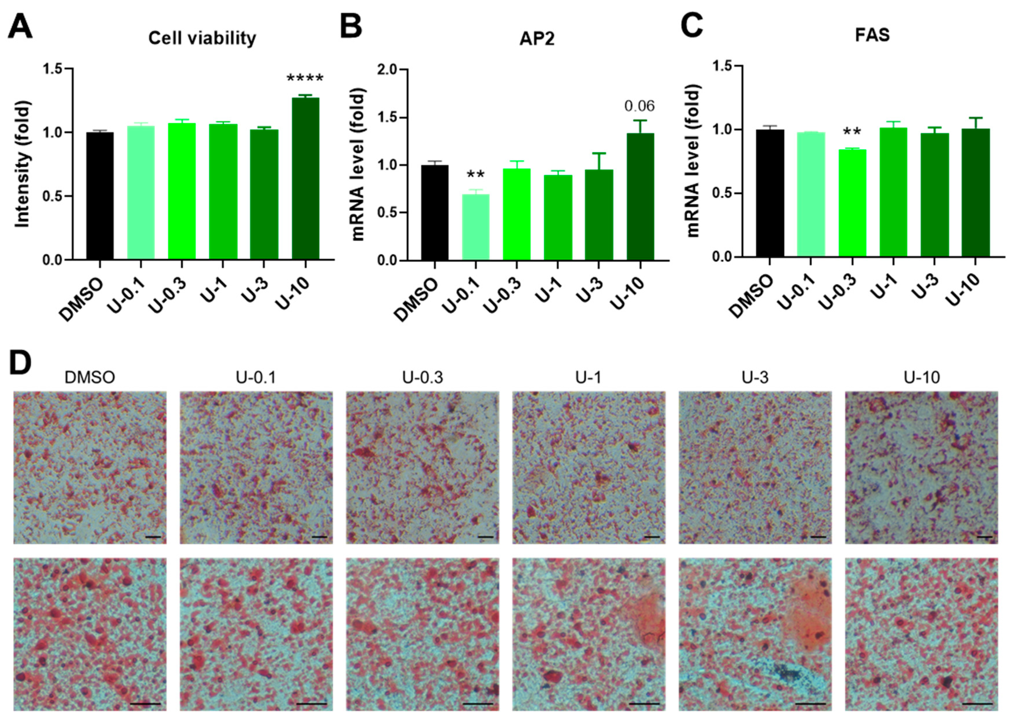 Ijms 24 07987 g004 Ijms 24 07987 g004