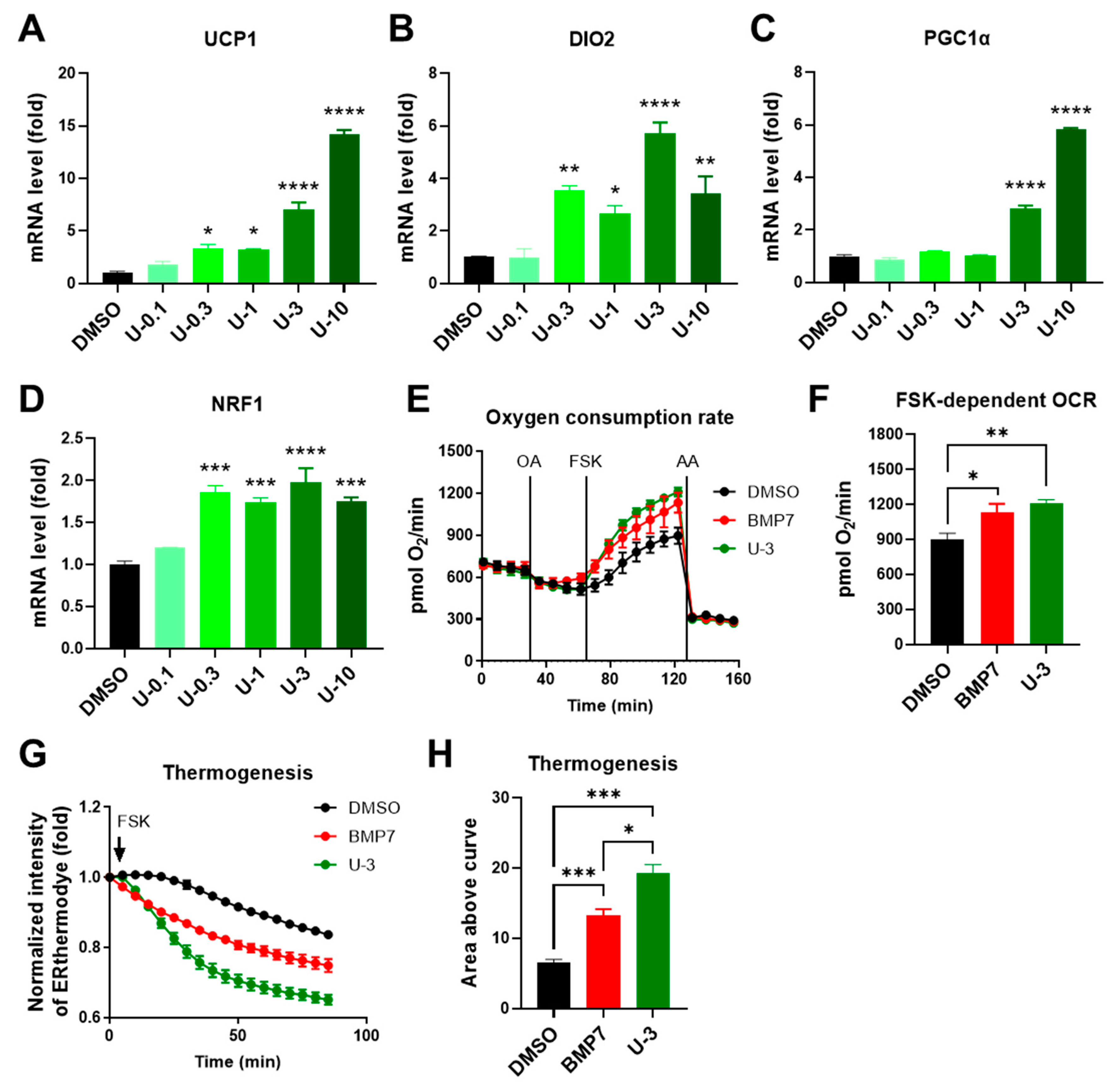 Ijms 24 07987 g005 Ijms 24 07987 g005