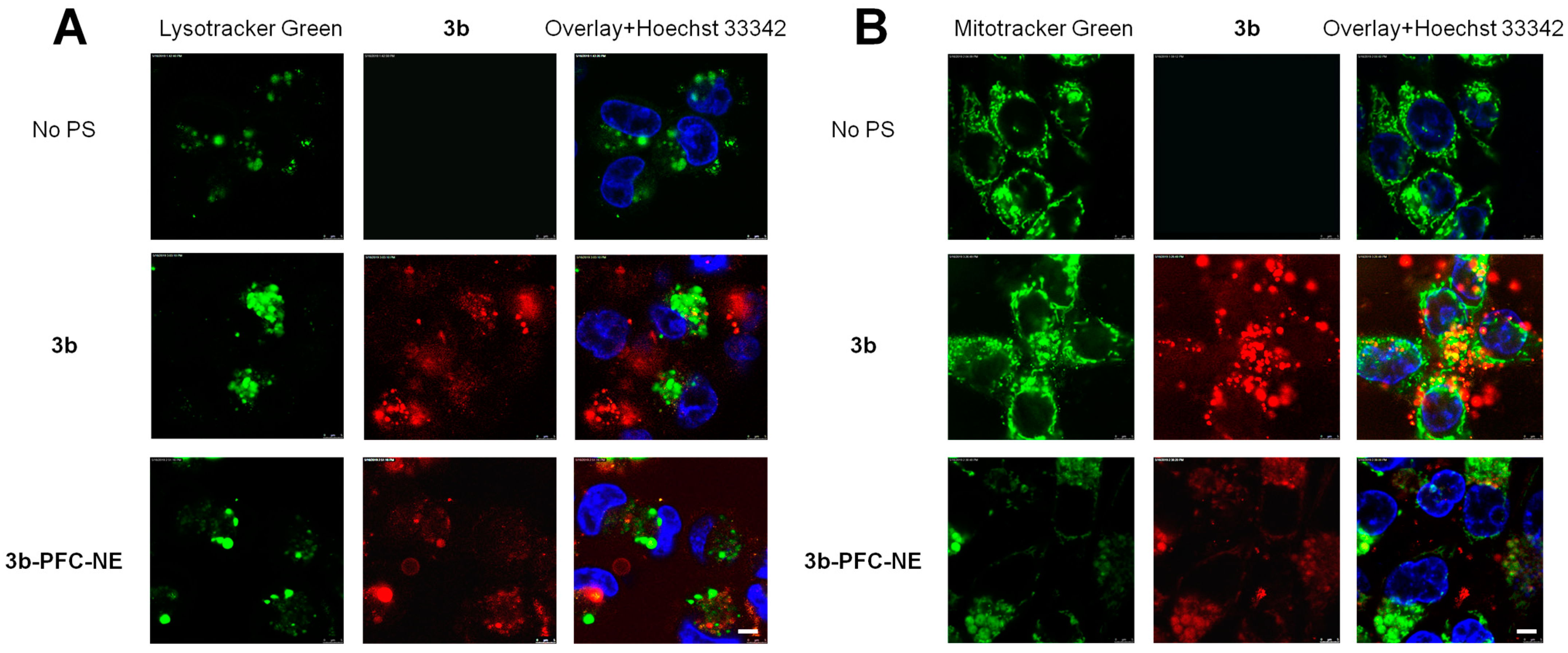 Ijms 24 07995 g007 Ijms 24 07995 g007