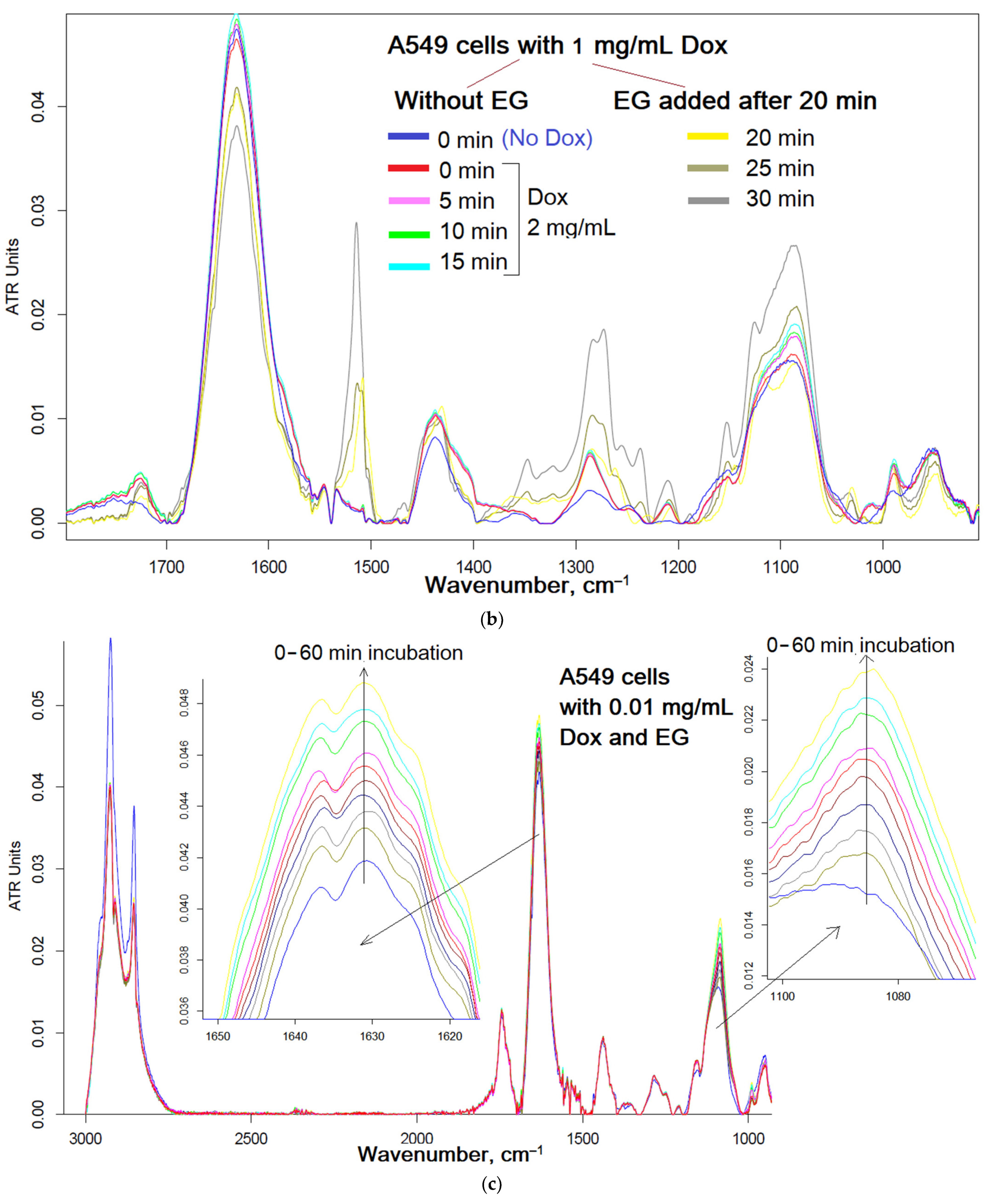 Ijms 24 08023 g005b Ijms 24 08023 g005b
