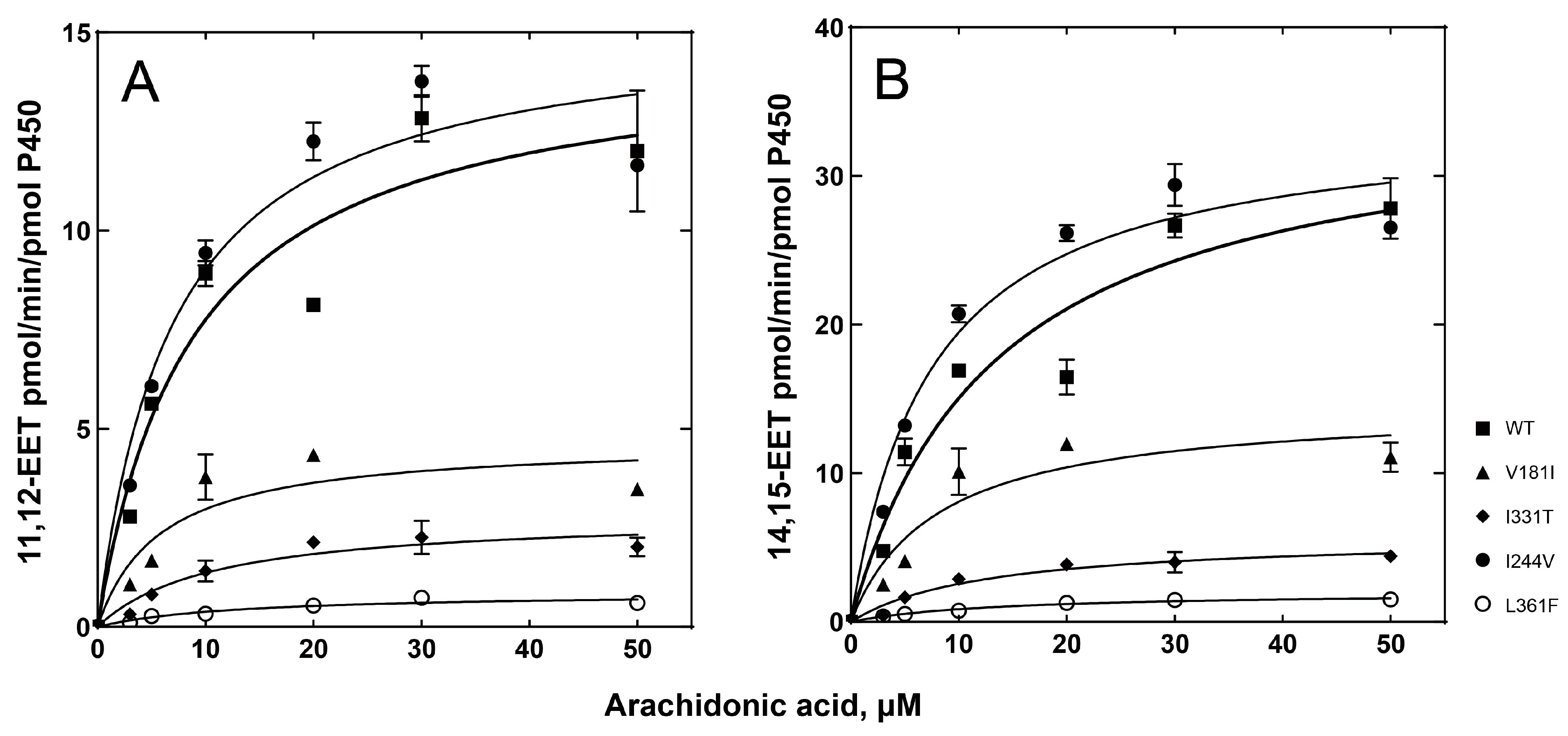 Ijms 24 08032 g005 Ijms 24 08032 g005