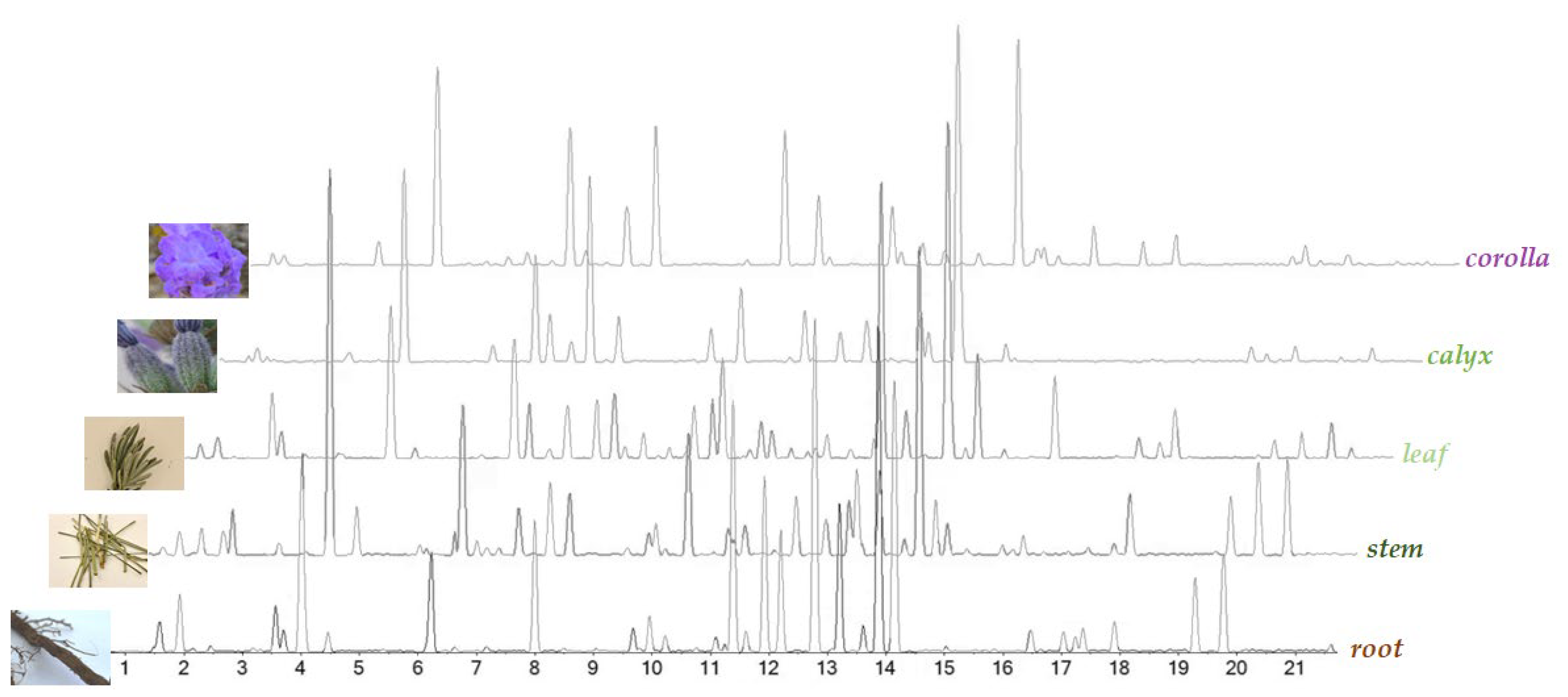 Ijms 24 08038 g002 Ijms 24 08038 g002