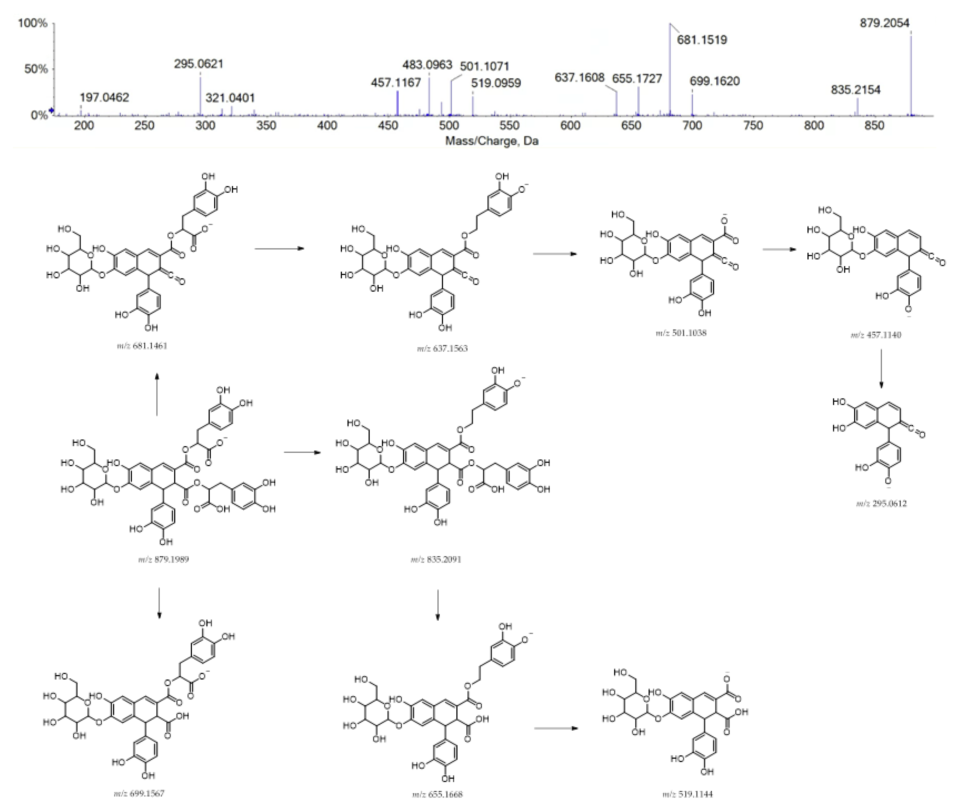 Ijms 24 08038 g004 Ijms 24 08038 g004