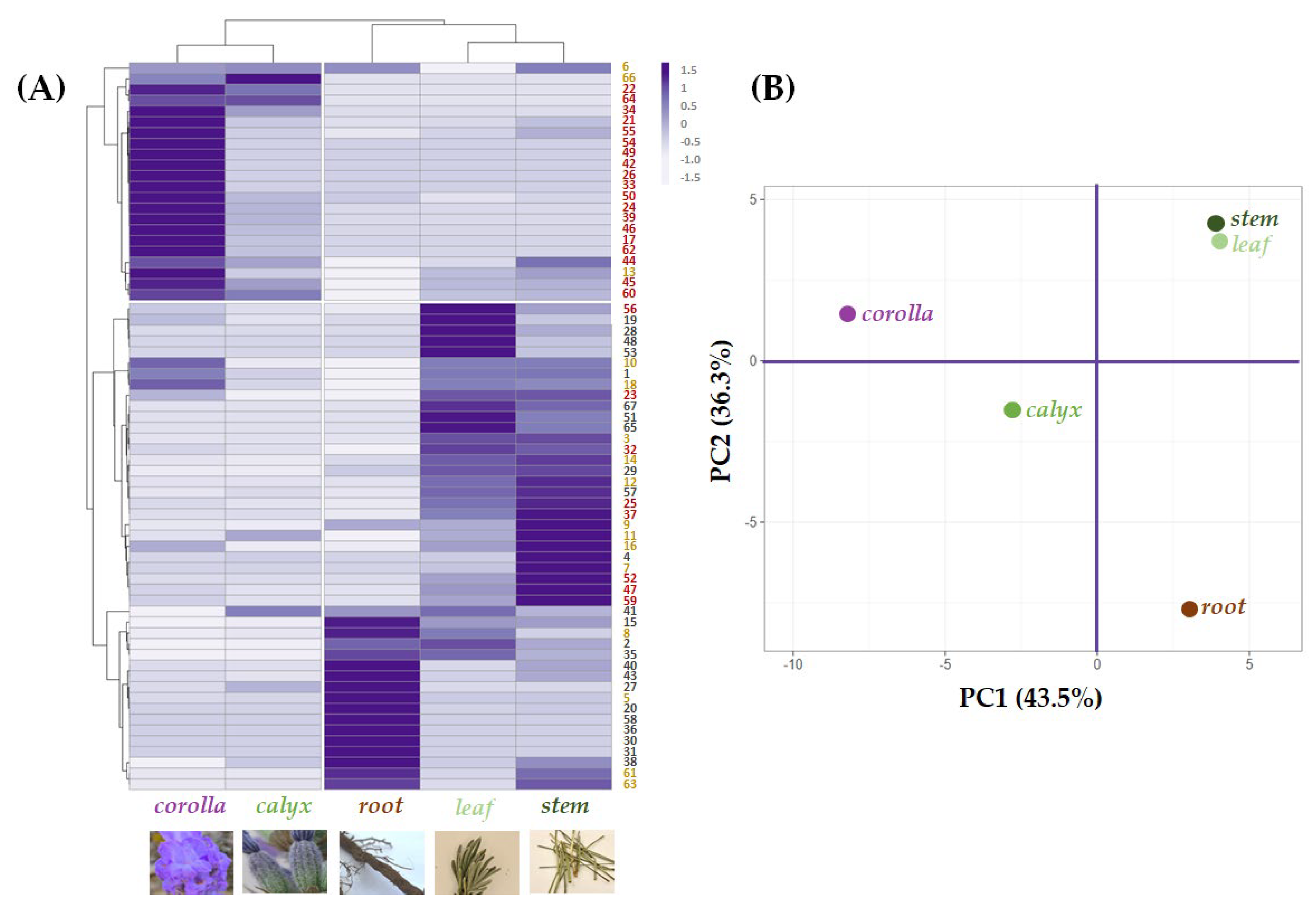 Ijms 24 08038 g006 Ijms 24 08038 g006