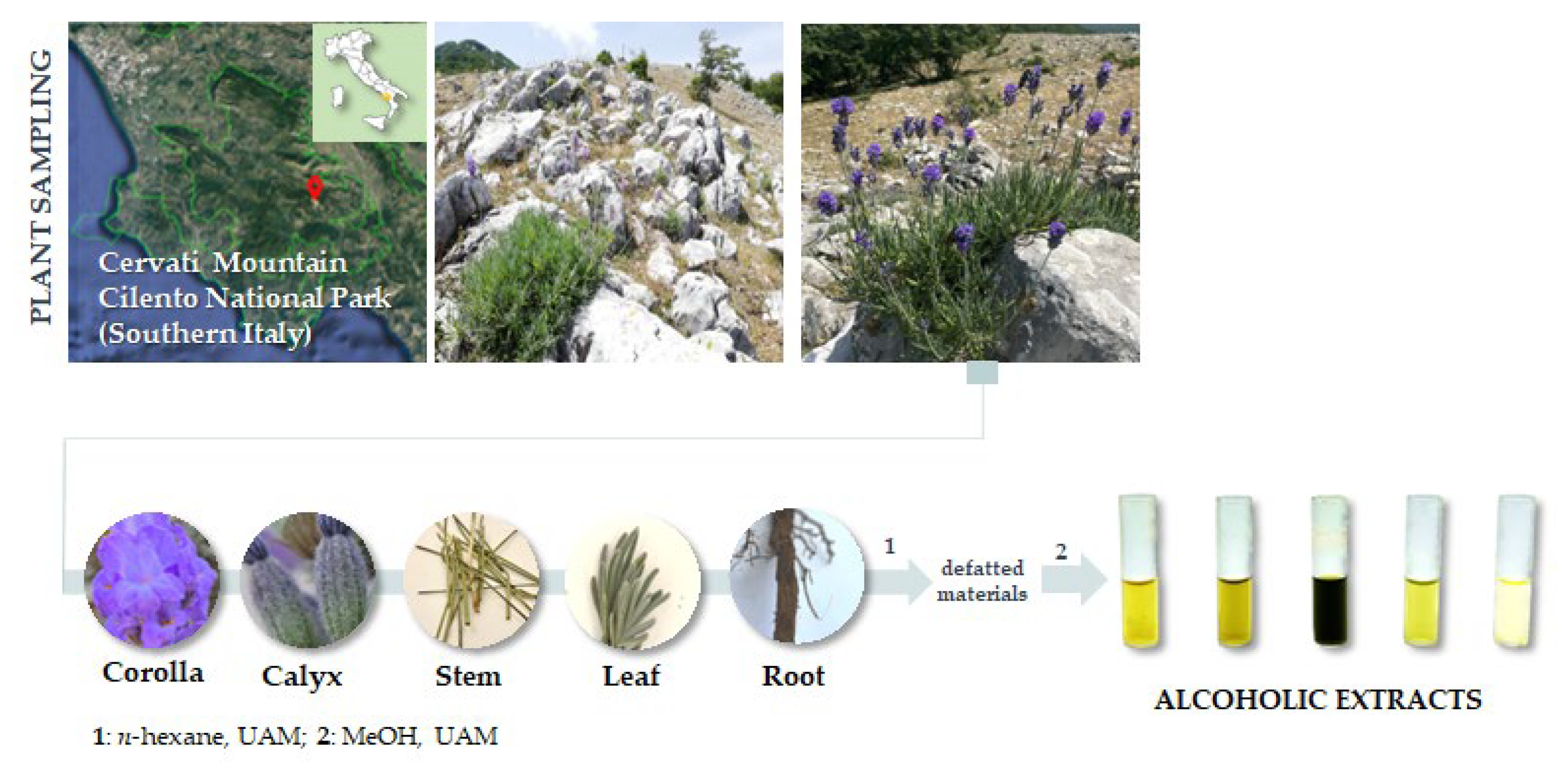 Ijms 24 08038 g010 Ijms 24 08038 g010