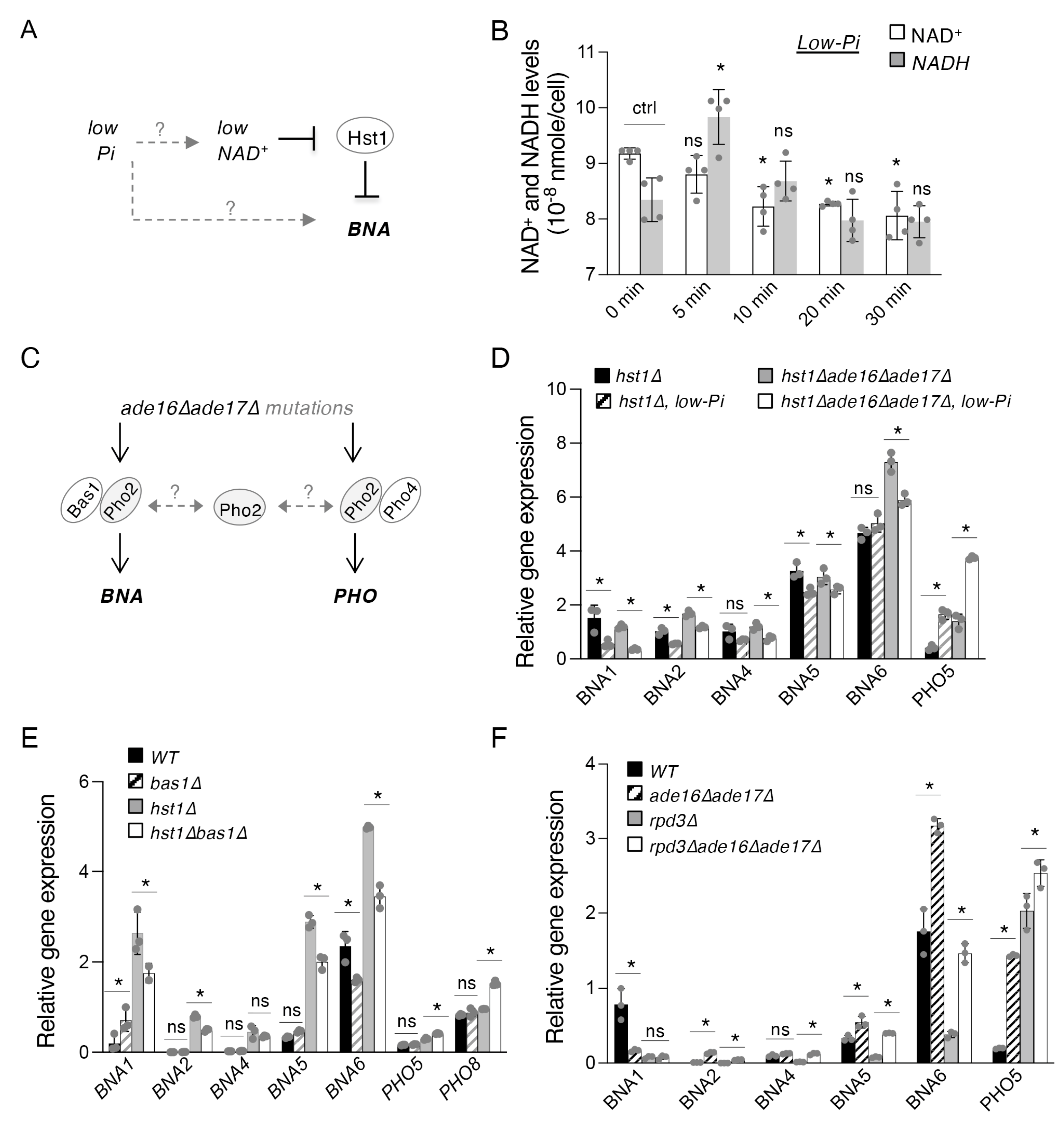 Ijms 24 08047 g002 Ijms 24 08047 g002